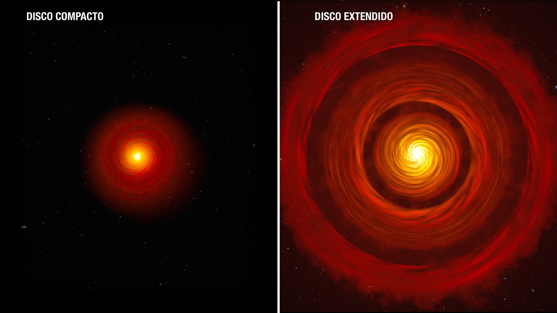 Ilustración: Esta ilustración compara dos tipos de discos típicos de formación de planetas alrededor de estrellas recién nacidas similares al Sol. A la izquierda está un disco compacto y a la derecha está un disco extendido con espacios entre los anillos.