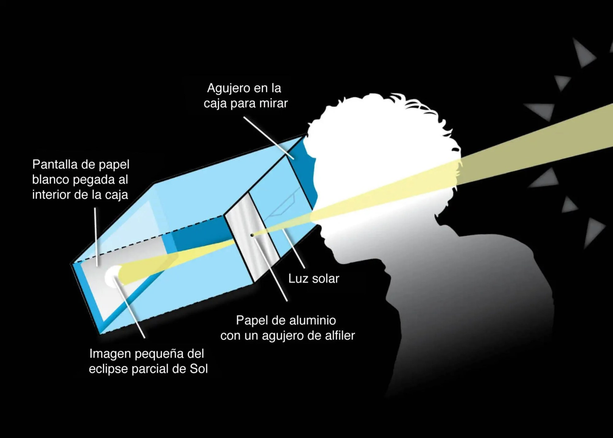Ilustración que muestra cómo funciona un proyector para observar un eclipse anular de forma segura.