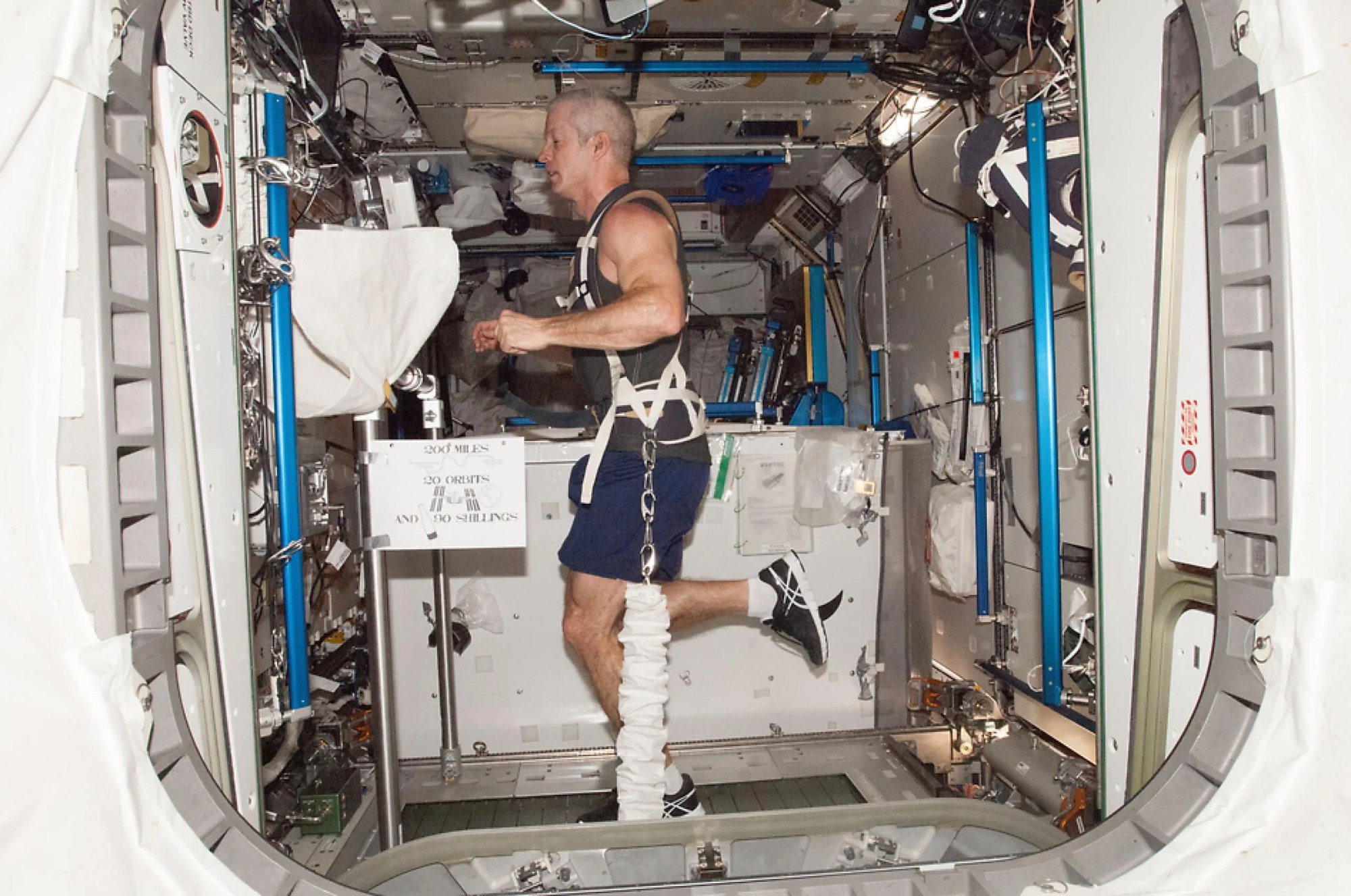 El astronauta de la NASA Steve Swanson se ejercita en la cinta de correr de resistencia externa con soporte de carga operacional combinada (COLBERT, por sus siglas en inglés). Créditos: NASA