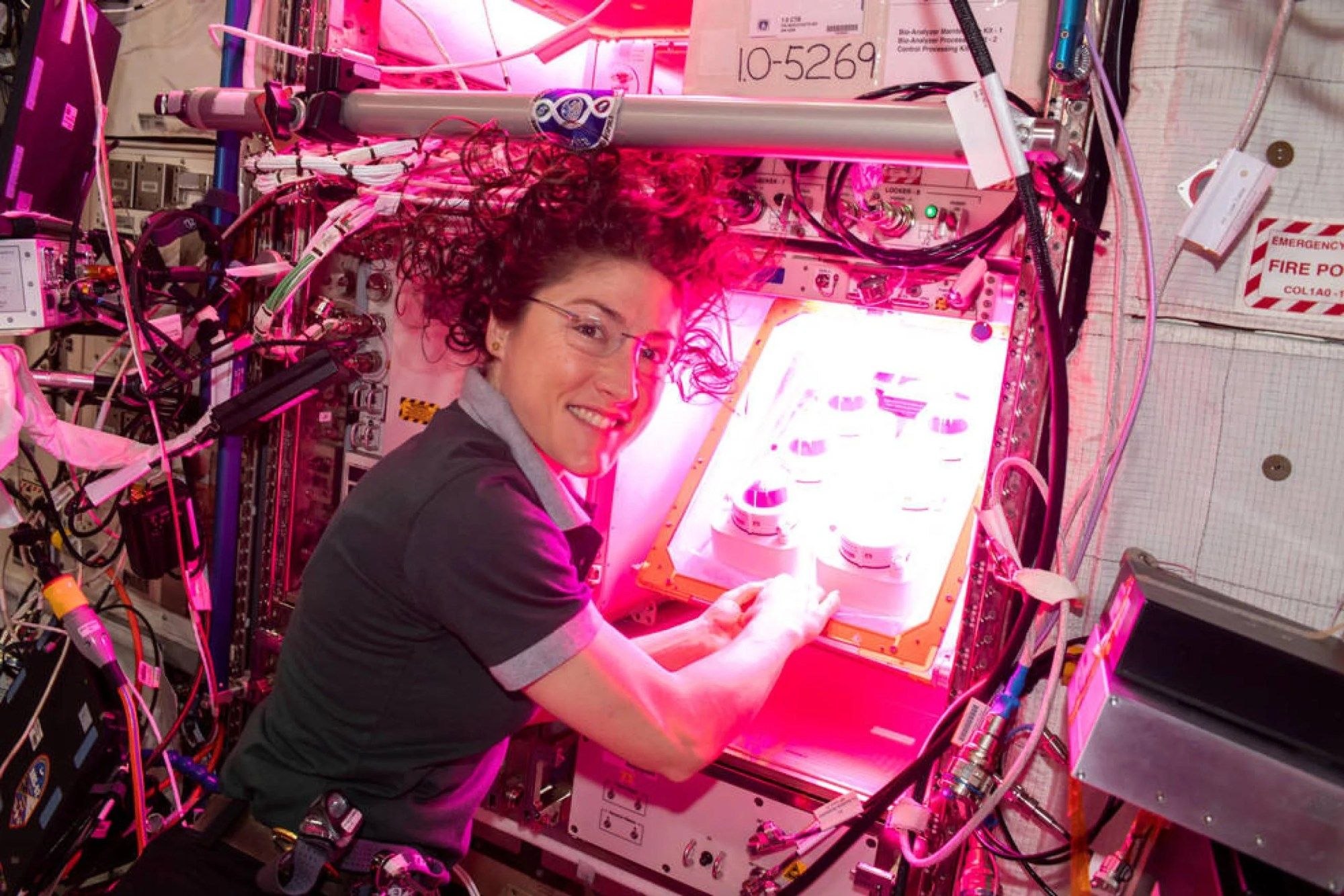 La astronauta de la NASA Christina Koch comienza el experimento Veg-PONDS-02 en los sistemas de producción de vegetales de la estación espacial llamados “Veggie”. Créditos: NASA/David Saint-Jacques