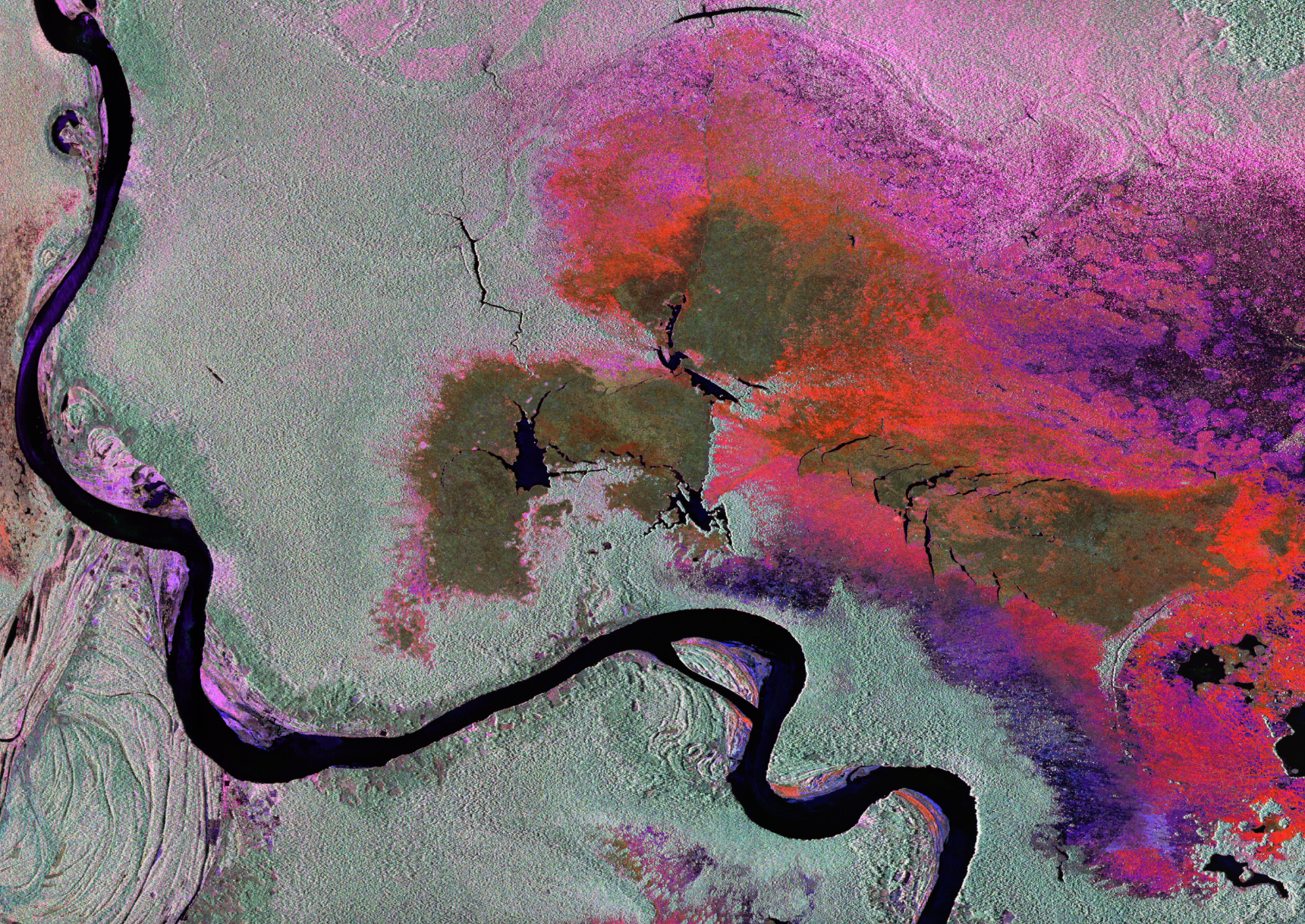 Imagen proveniente de un radar aéreo que sobrevoló Perú en 2013. El negro indica agua, el gris es selva tropical, el verde es vegetación baja y el rojo y el rosa son vegetación inundada.