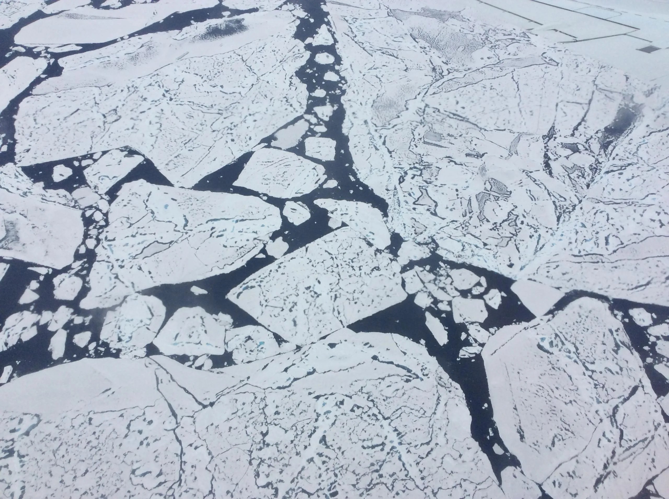 Hielo marino sobre el Ártico