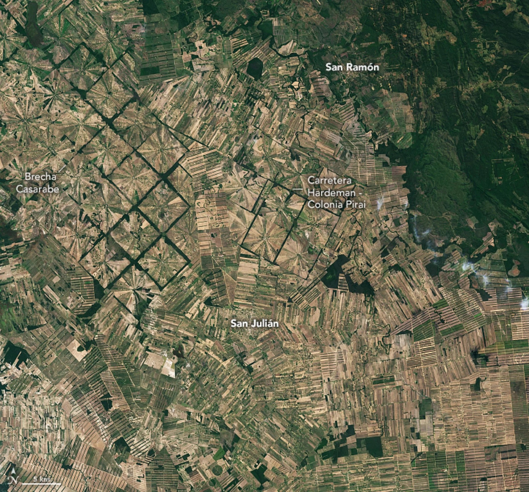 Patrones de cambio forestal en Bolivia