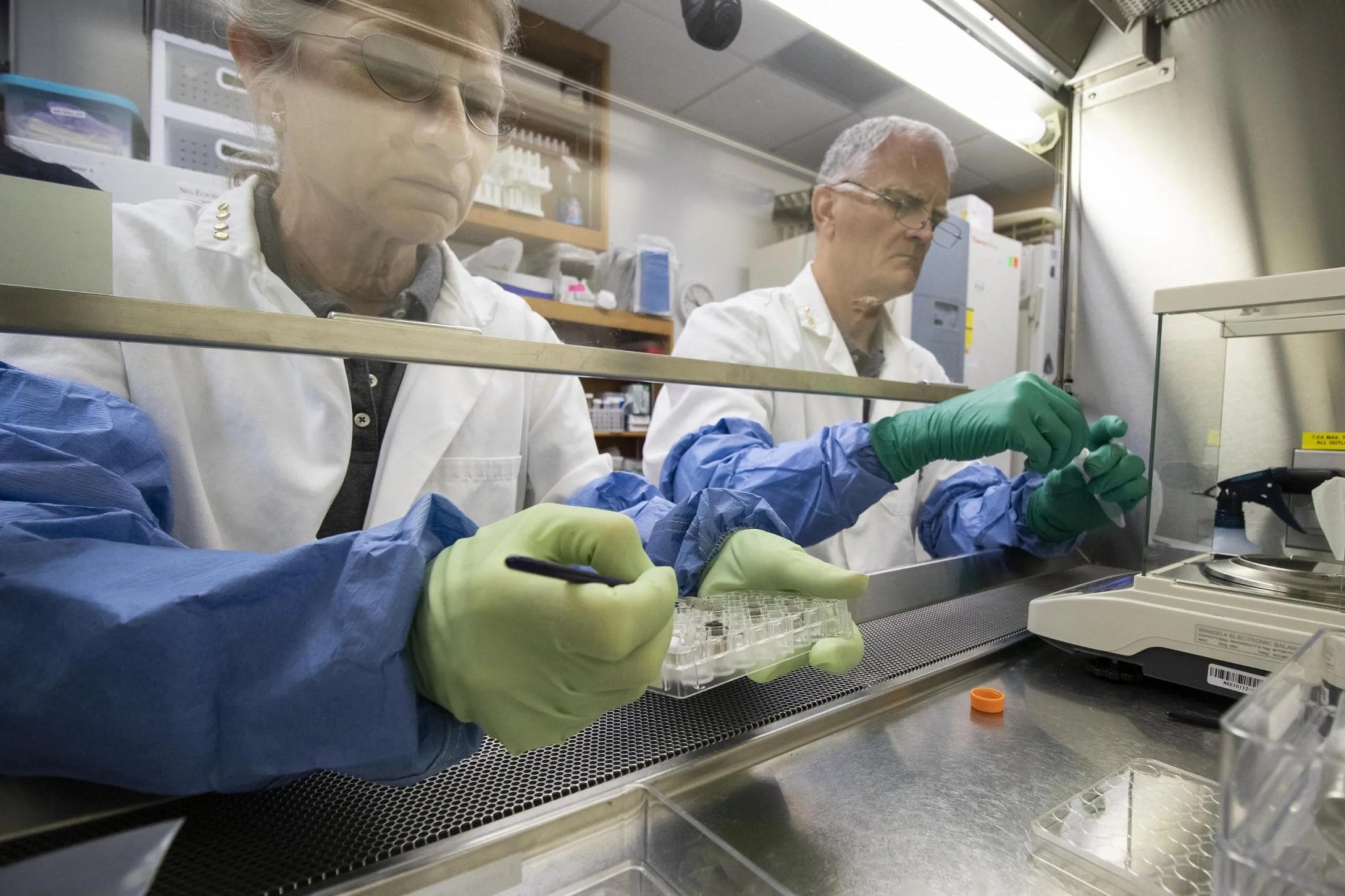 Anna-Lisa Paul, a la izquierda, y Rob Ferl, trabajando con suelo lunar en su laboratorio. Créditos: Universidad de Florida, Instituto de Ciencias Agrícolas y Alimentarias / foto por Tyler Jones
