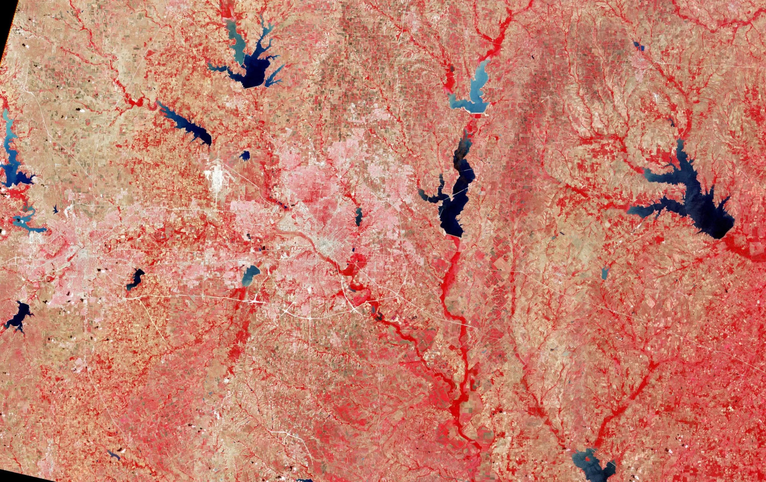 La primera imagen completamente operacional de Landsat fue una toma de Dallas, Texas, el 25 de julio de 1972, iniciando una carrera de 40 años, cuando el primer satélite era conocido como Satélite con Tecnología para el estudio de los Recursos Terrestres (ERTS). Créditos: Observatorio de la Tierra de la NASA