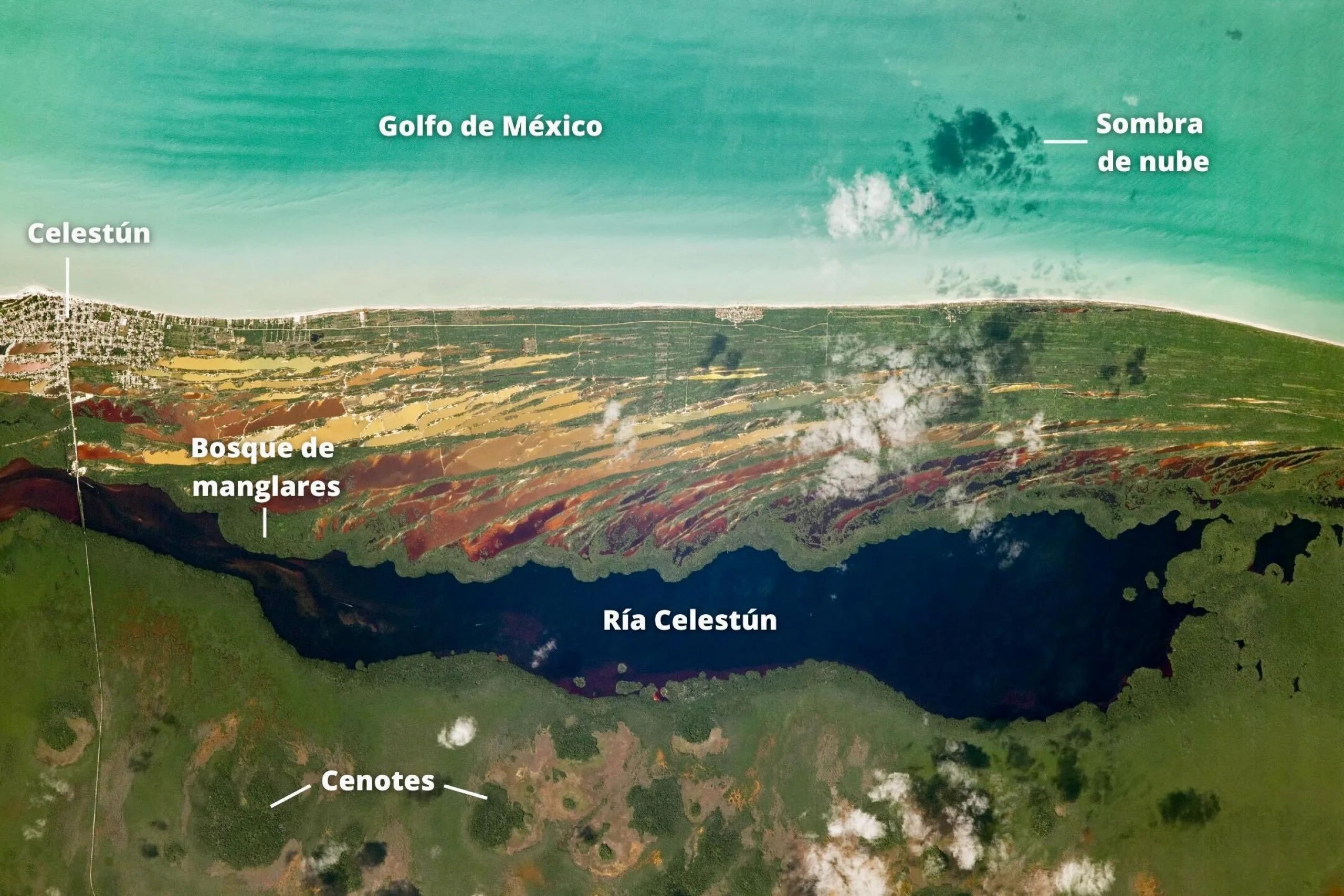 Desde la perspectiva de un astronauta, los humedales a lo largo de la costa noroeste de la península de Yucatán están dispuestos en colores diferentes. Esta fotografía, tomada desde la Estación Espacial Internacional (EEI), captura la diversidad del paisaje del estuario cerca de Celestún, un pueblo pesquero en Yucatán, México.