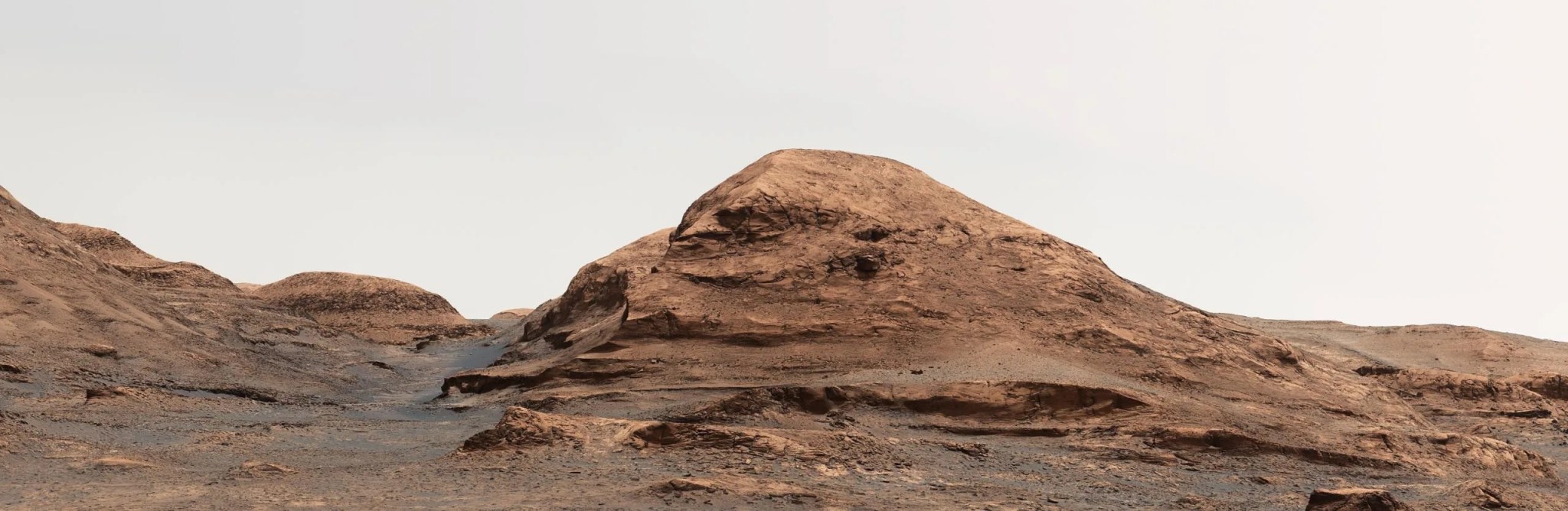 NavarroHill.png