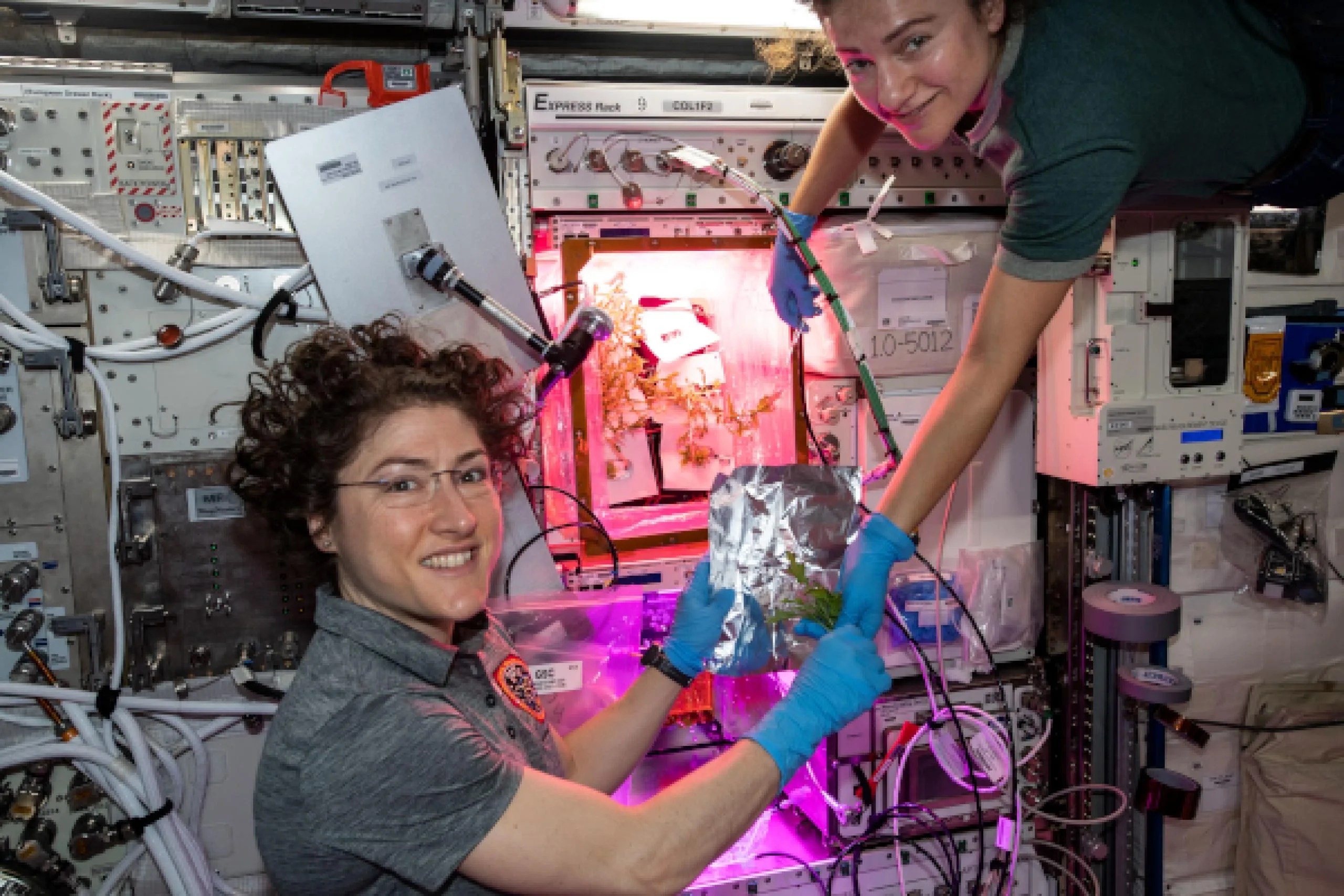 imagen de las astronautas con su cosecha