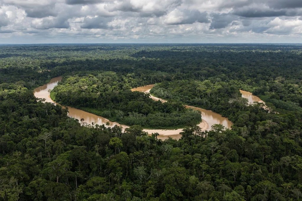
			Estudio de la NASA halla que la capacidad de los bosques tropicales para absorber dióxido de carbono disminuye			