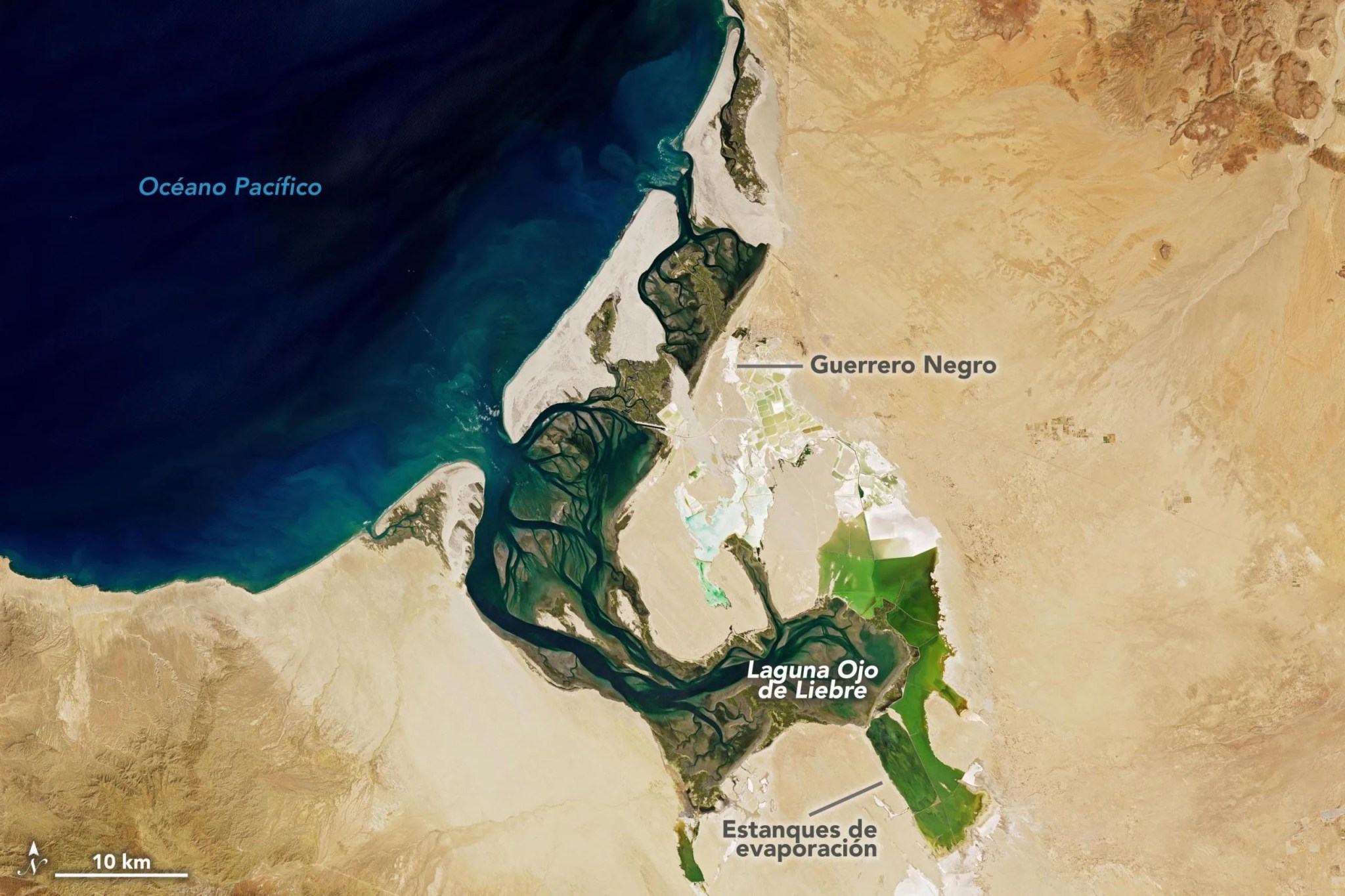 lagunaojo_oli_2022082_lrg_esp.jpg