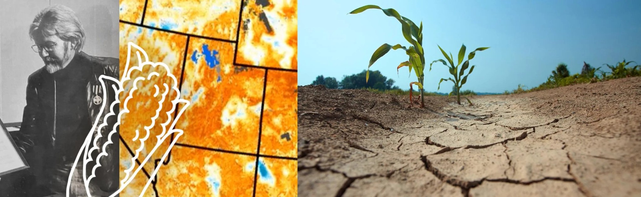 nasa_fd_vegetation.png