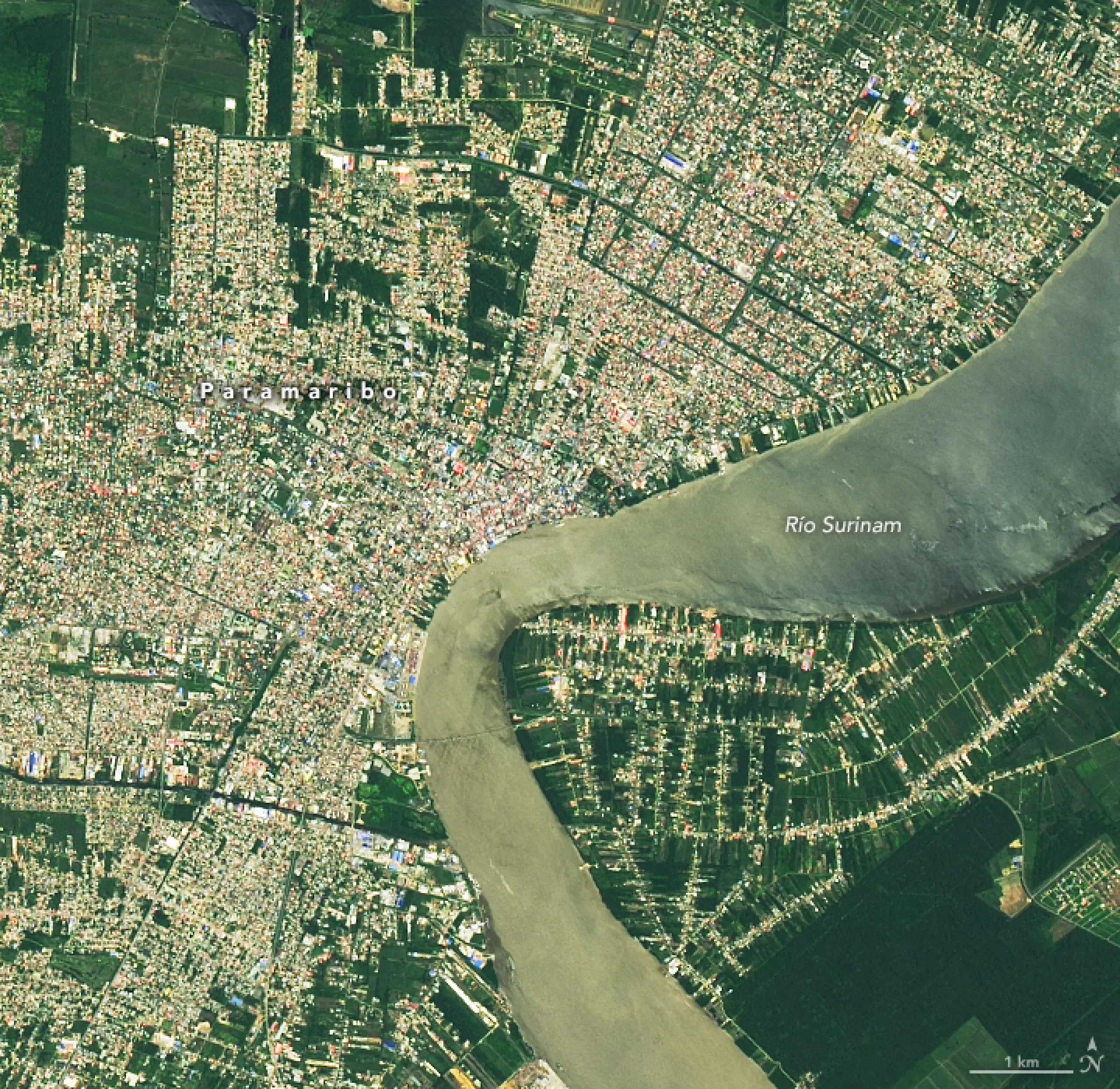 Surinam captado por Landsat 8