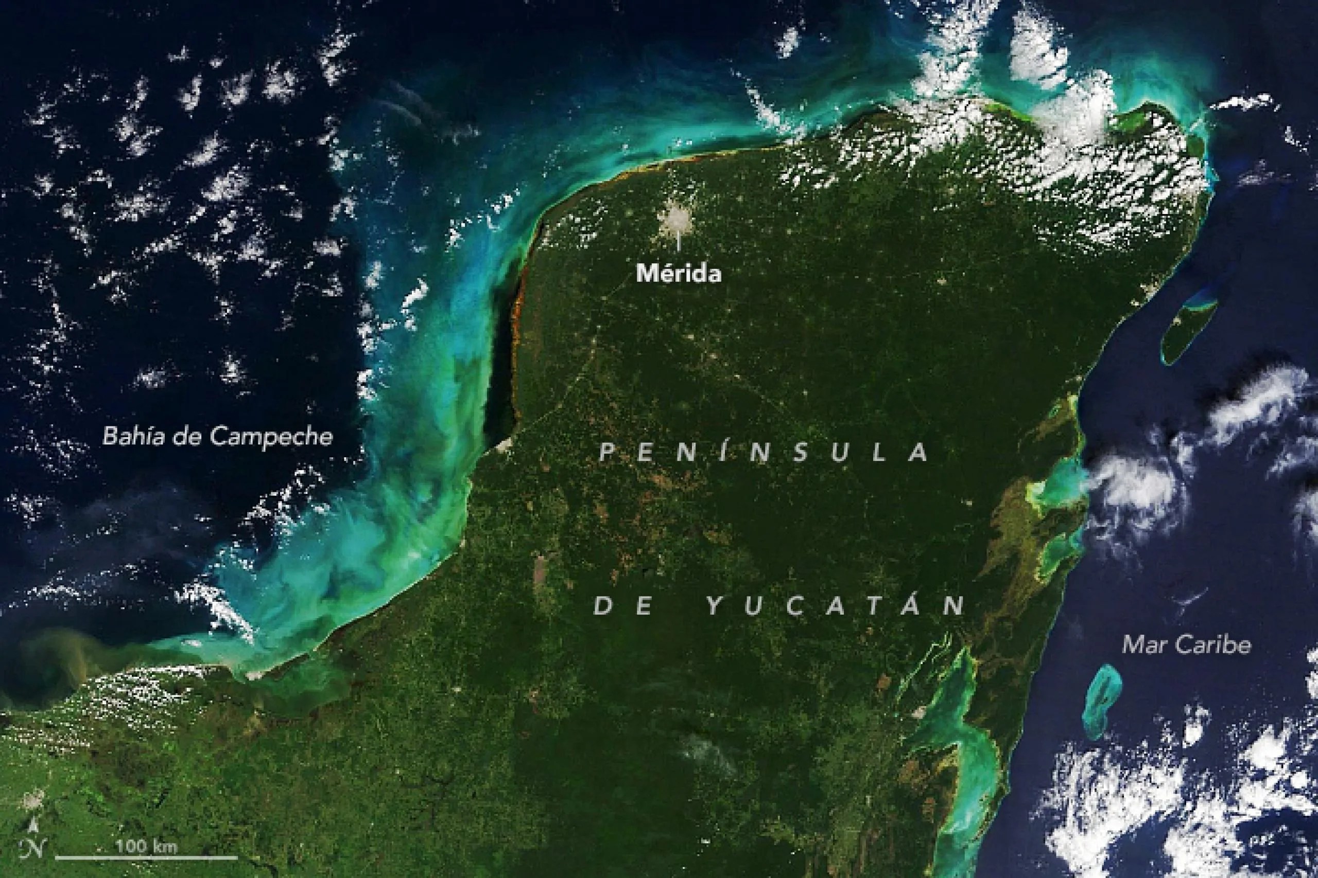 Sedimentos se arremolinan frente a la costa de Yucatán