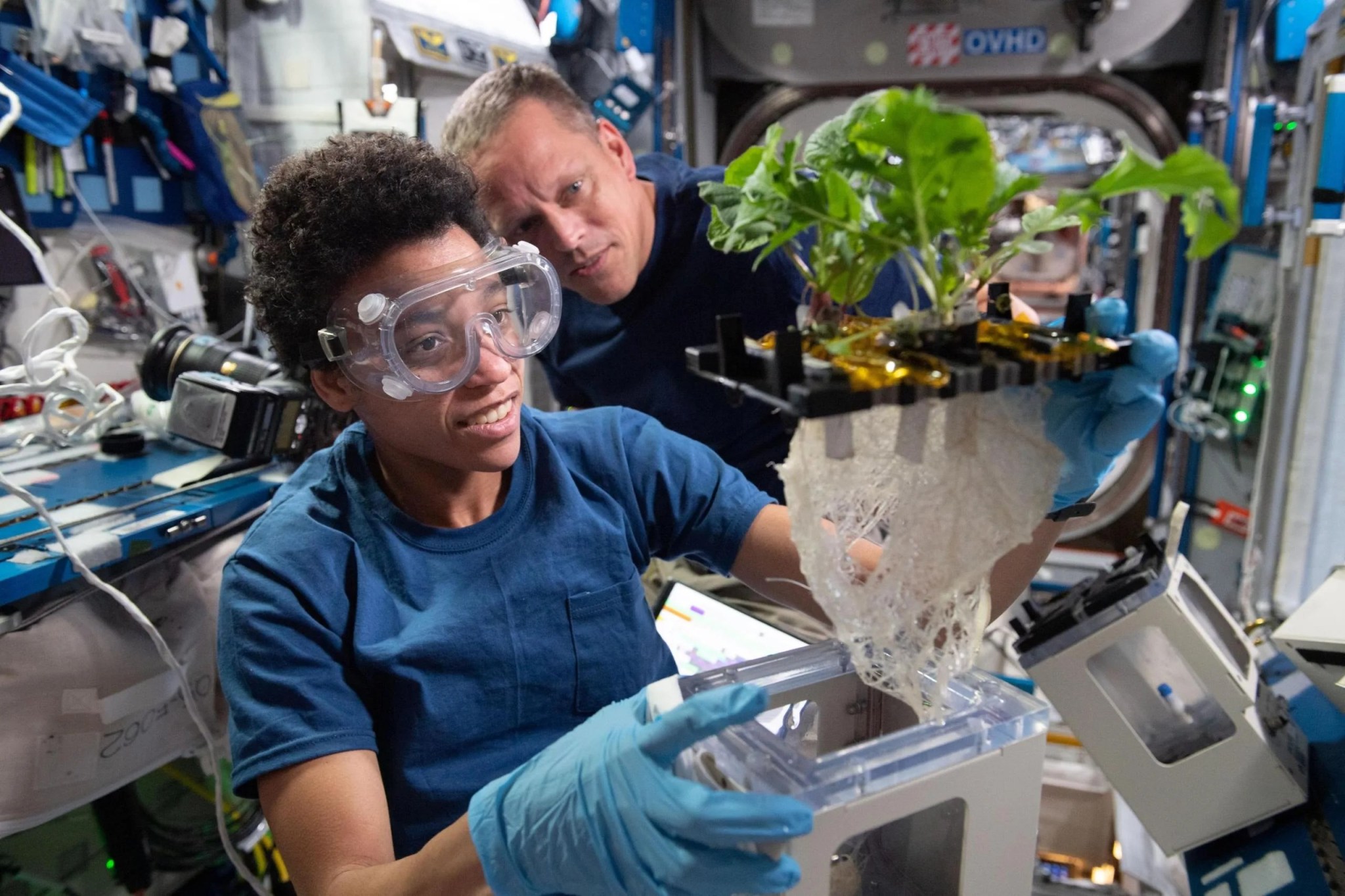imagen de dos astronautas observando un experimento de plantas
