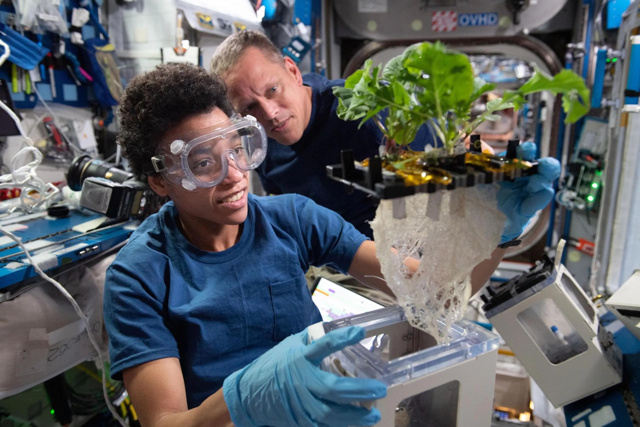 imagen de dos astronautas observando un experimento de plantas