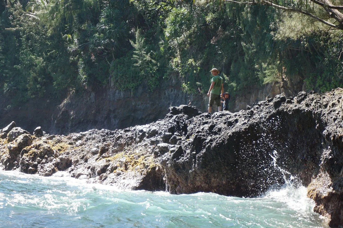 Las olas se agitan en la bahía de Onomea, Hawái. Un hombre y un niño pequeño tomados de la mano observan el mar al lado derecho del centro de la imagen.