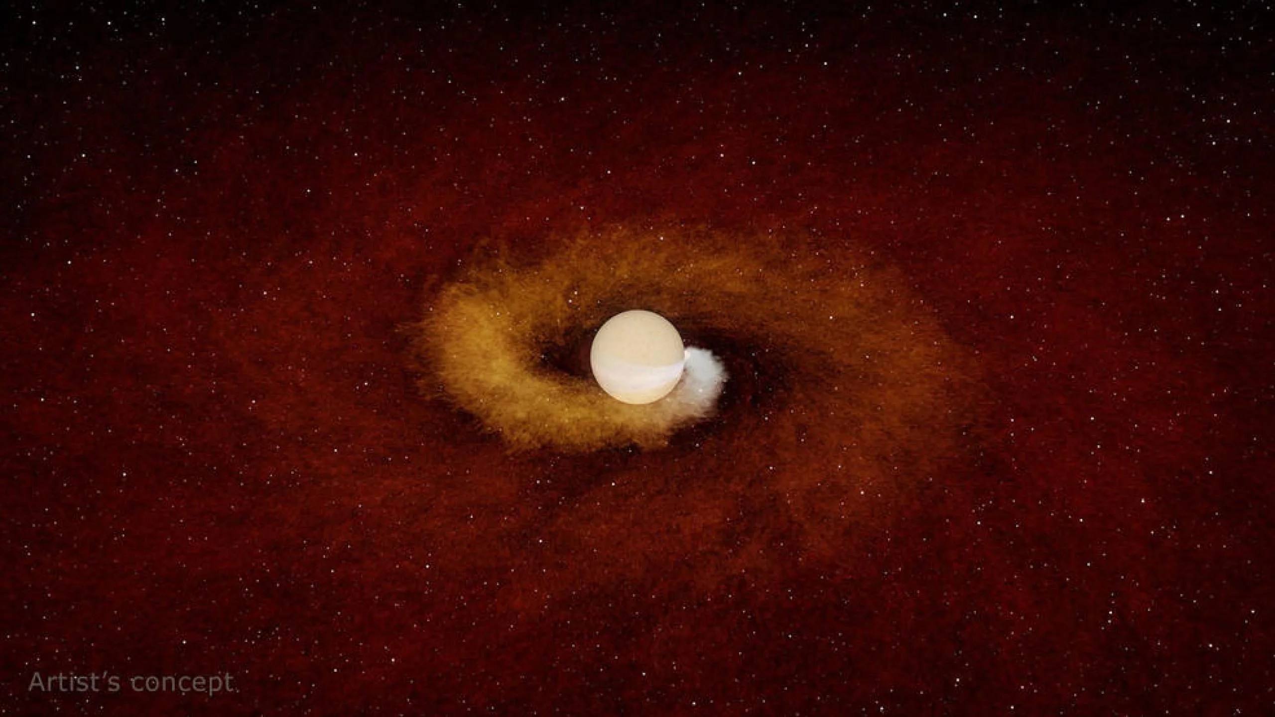 Esta ilustración muestra a un planeta de color naranja blanquecino cayendo gradualmente en espiral hacia su estrella anfitriona. El planeta, del tamaño de Júpiter, saca el gas de la estrella, enviándolo al espacio. Allí, el gas se enfría y se convierte en polvo, que es visible para los astrónomos. En la imagen se ve de color blanquecino y cobrizo. El fondo es la oscuridad del espacio.