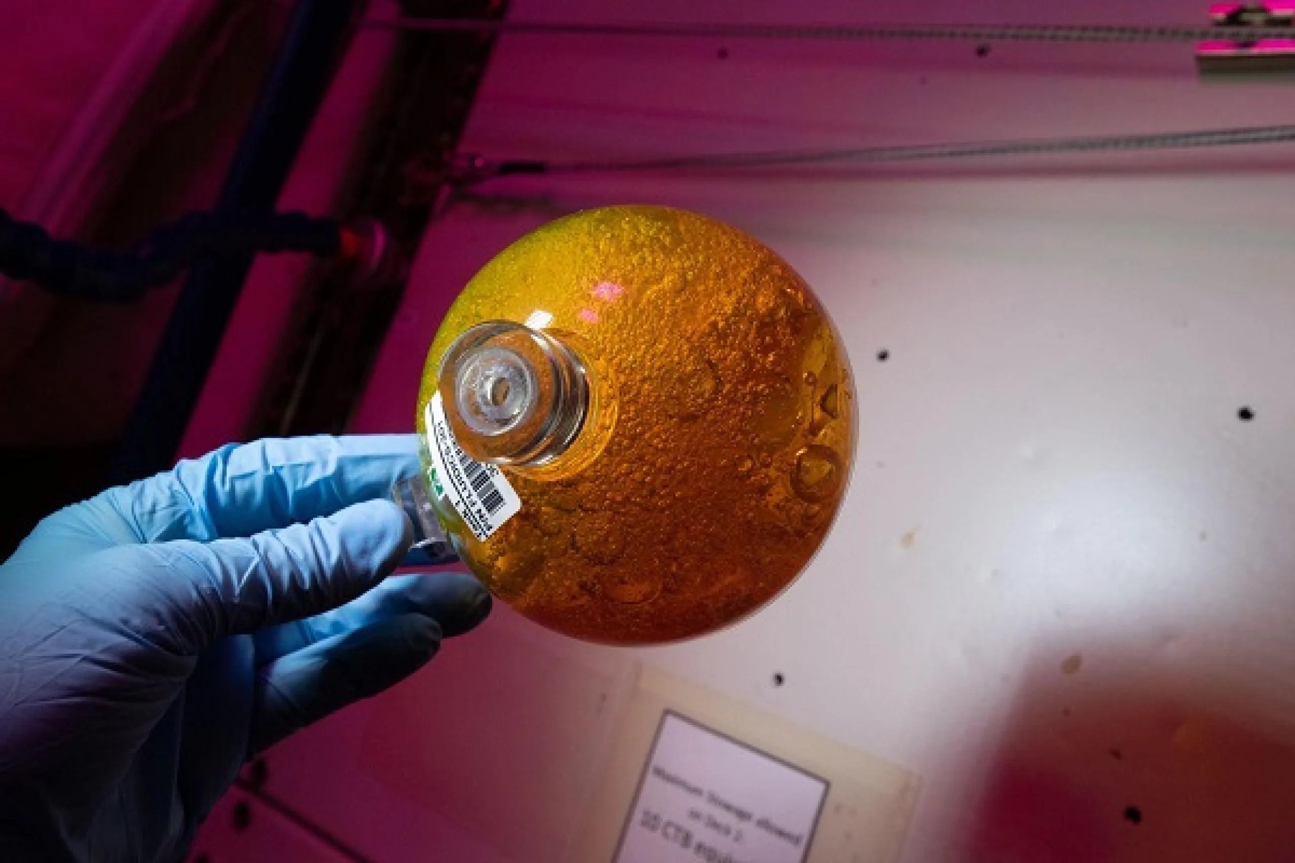 imagen de un cilindro con liquidos y burbujas de una investigación