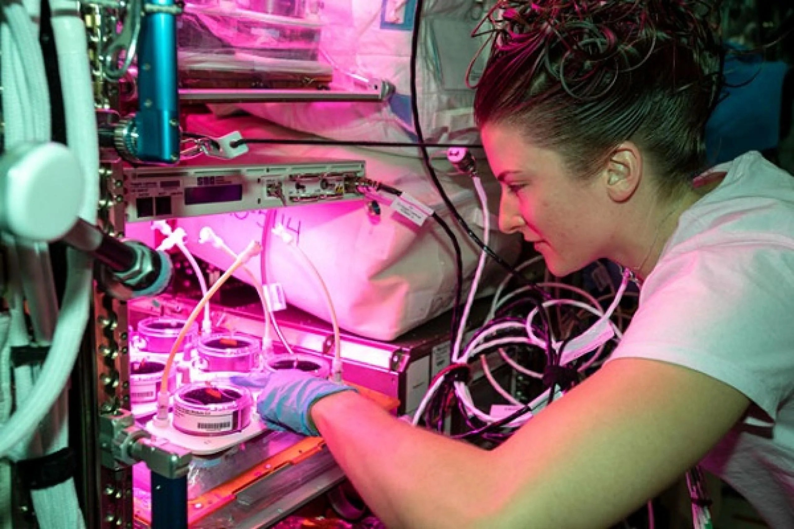 imagen de una astronauta preparando una investigación de plantas