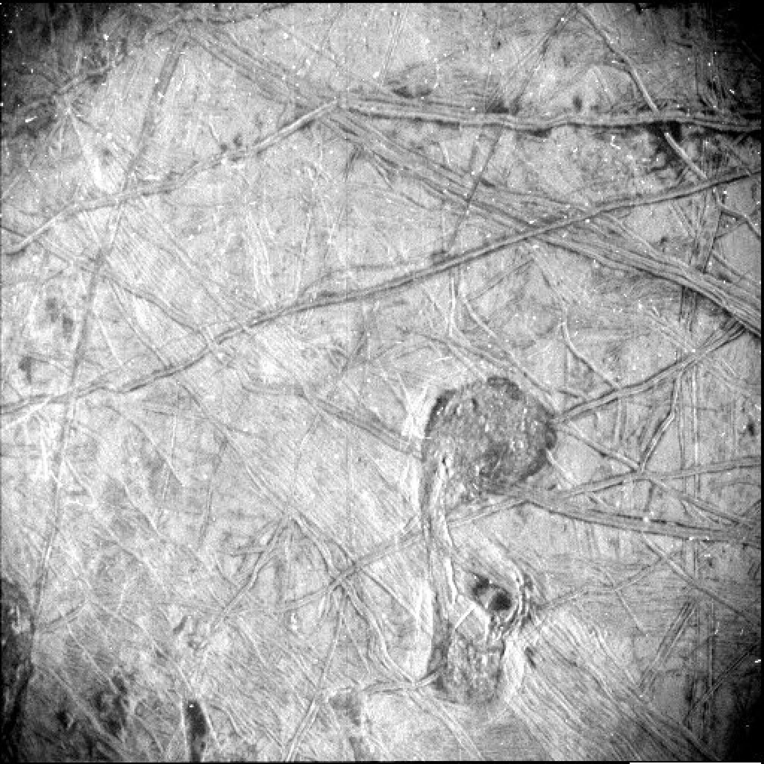 Las características de la superficie de la luna helada de Júpiter, Europa, se revelan en una imagen obtenida por la unidad de la referencia estelar (SRU) de Juno durante el sobrevuelo de la nave espacial el 29 de septiembre de 2022. Crédito: NASA/JPL-Caltech/SwRI