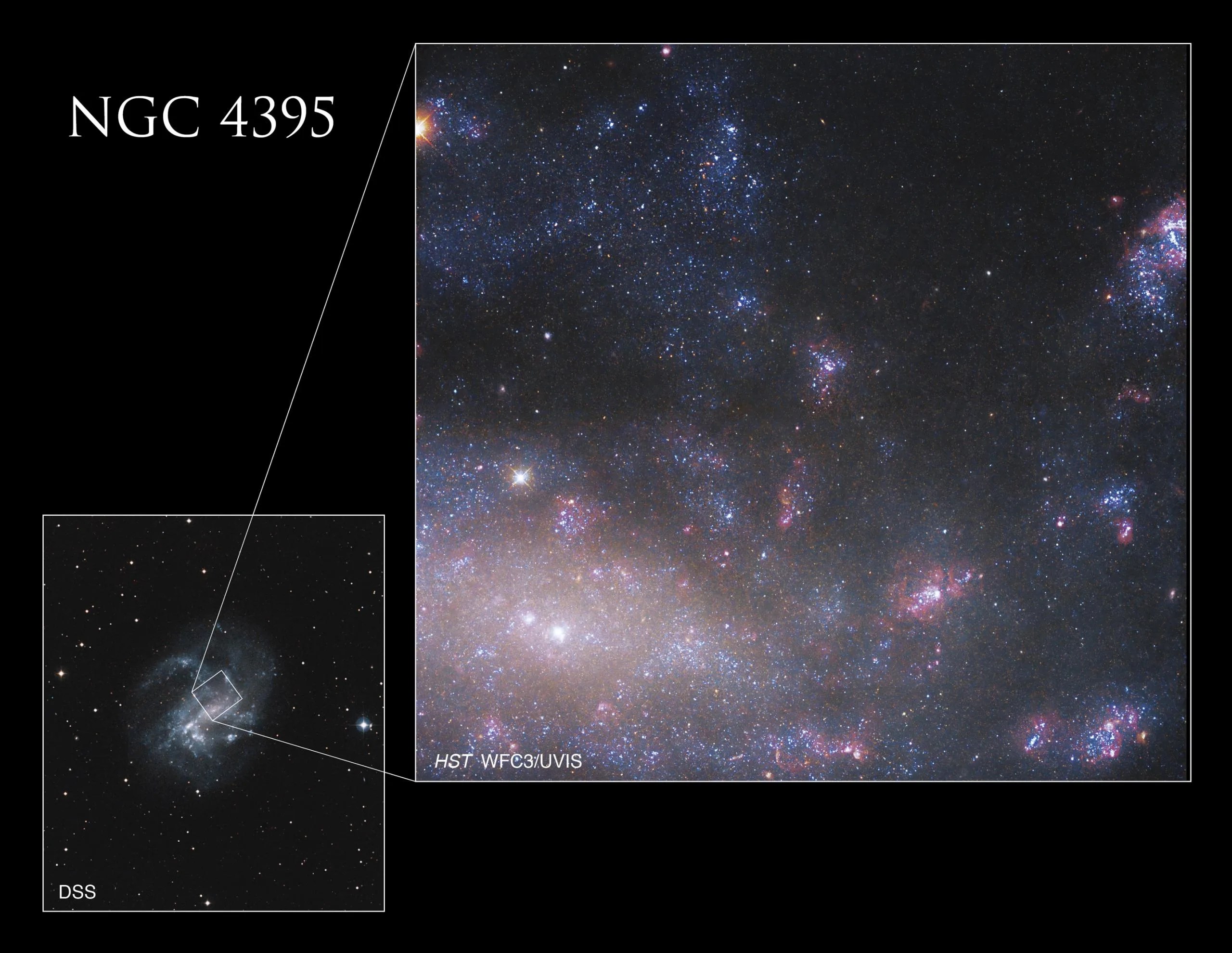 La imagen más grande de Hubble muestra la región central de NGC 4395 junto con una imagen más pequeña en el recuadro, en la esquina inferior izquierda, tomada por el Sondeo Digital del Cielo, que revela la ubicación de la imagen de Hubble en el contexto más amplio de la galaxia completa. Créditos: NASA, ESA, S. Larsen (Universidad Radboud de Nimega) y E. Sabbi (STScI); Procesamiento: Gladys Kober (NASA/Universidad Católica de América)