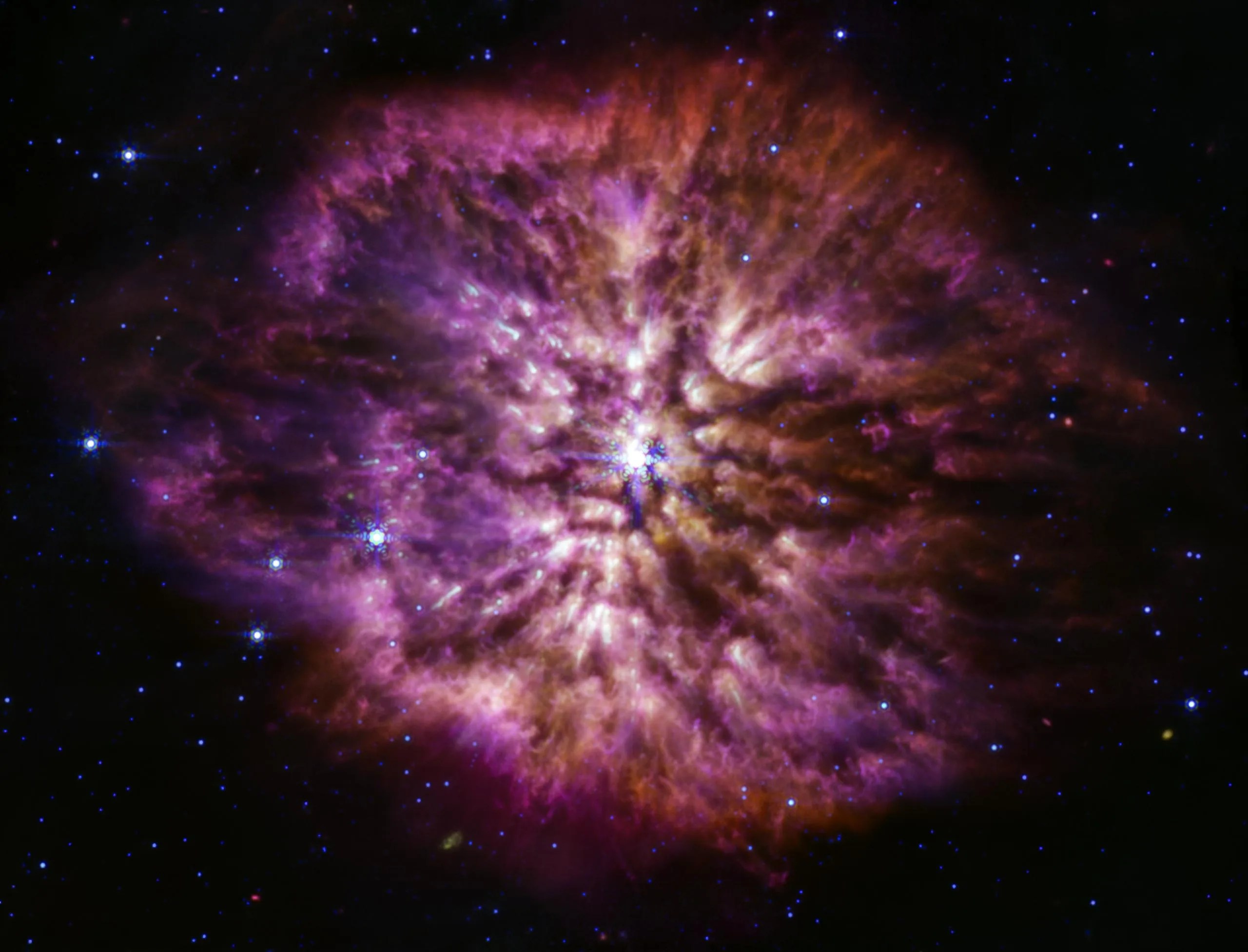 Las estrellas Wolf-Rayet son conocidas por ser eficientes productoras de polvo, y el instrumento de infrarrojo medio del telescopio espacial James Webb de la NASA muestra esto con gran efecto. El polvo cósmico más frío brilla en las longitudes de onda más largas del infrarrojo medio, mostrando la estructura de la nebulosa de WR 124.