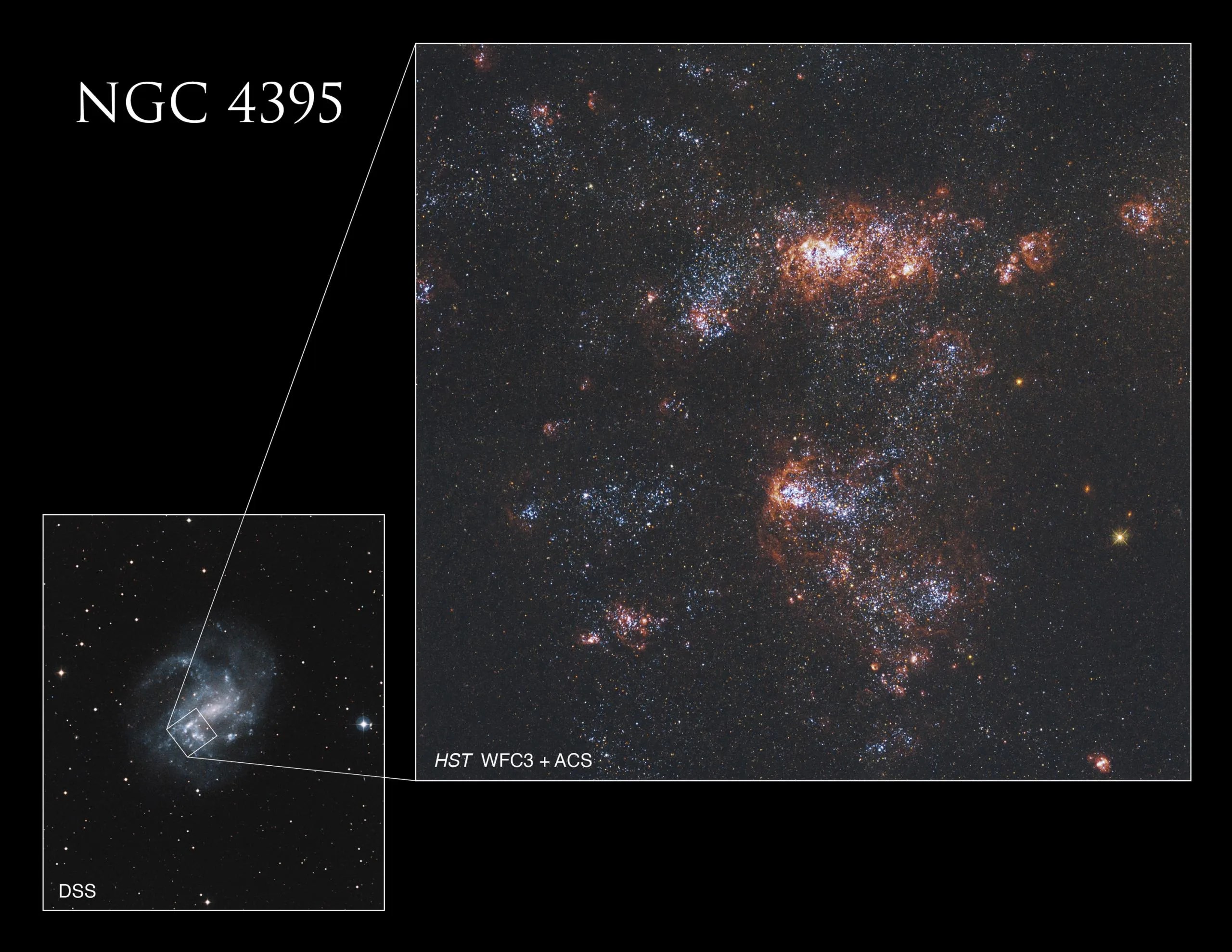 La imagen más grande de Hubble observa uno de los brazos espirales de de NGC 4395. La imagen más pequeña del Sondeo Digital del Cielo, en la esquina inferior izquierda, muestra la ubicación de la imagen de Hubble en el contexto de la galaxia completa.