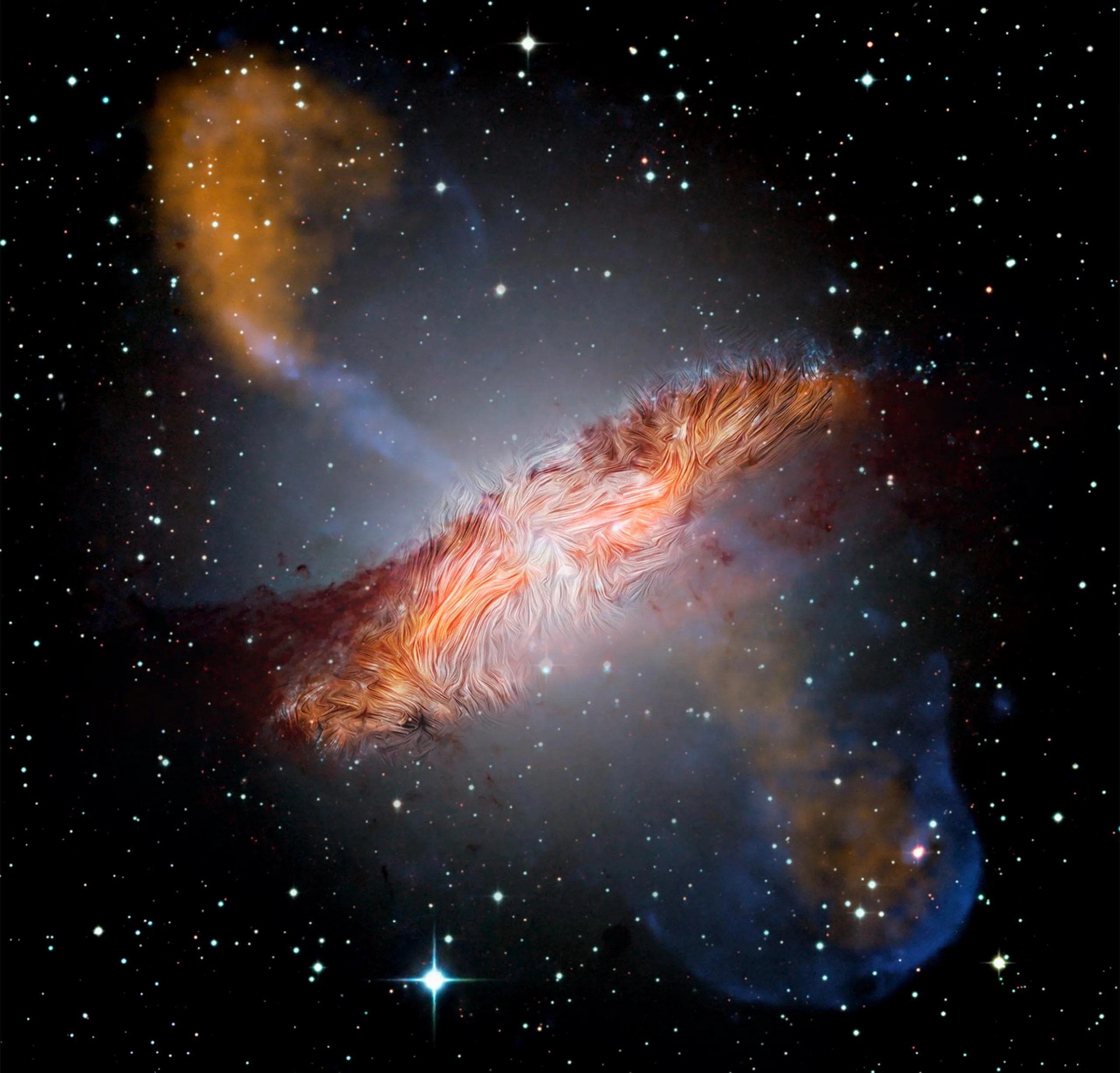 Los campos magnéticos observados por SOFIA en la galaxia Centaurus A en una imagen compuesta tomada en múltiples longitudes de onda por varios observatorios. Los campos magnéticos a gran escala, de 1.600 años luz de diámetro, son paralelos a los carriles de polvo que se ven en luz visible y otras longitudes de onda. Sin embargo, los campos aparecen retorcidos y distorsionados cerca del centro. Se trata de un remanente del campo magnético en forma de espiral de una de las galaxias originales que se fusionaro
