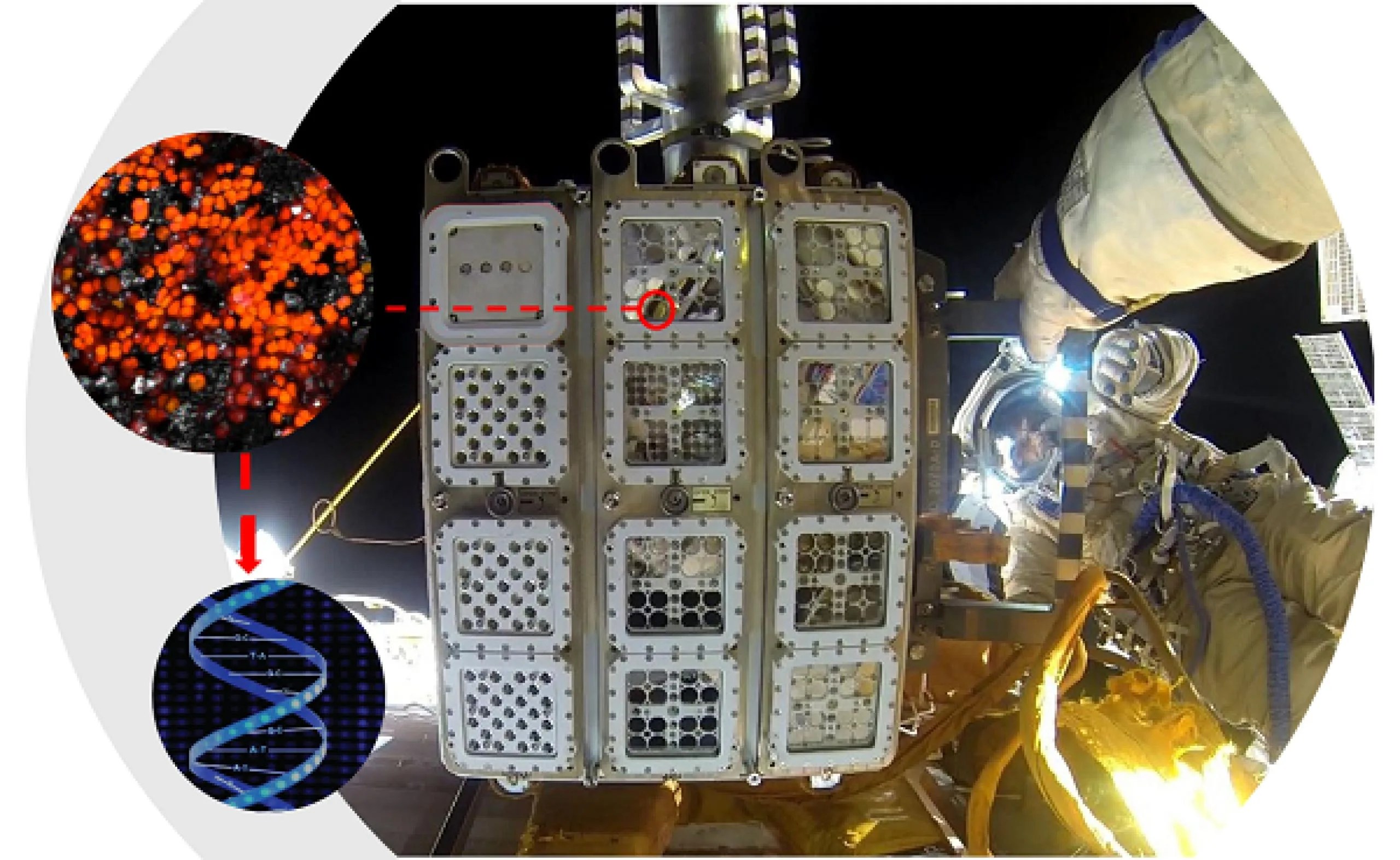 imagen de hardware para un experimento instalado en el exterior de la estación espacial