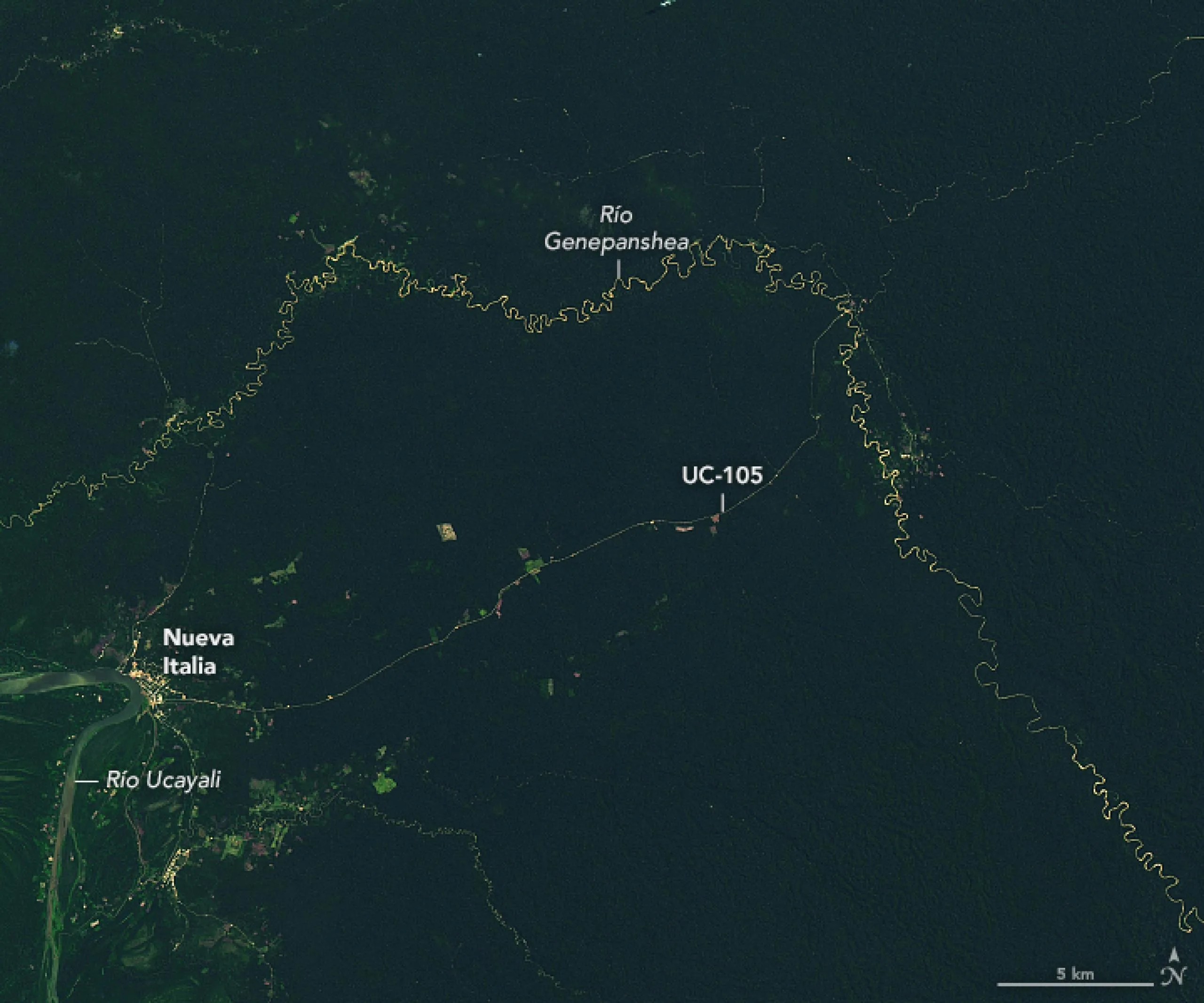 Esta imagen satelital muestra la extensión del cambio entre los ríos Ucayali y Genepanshea en Perú. Fue obtenida por el Generador operacional de imágenes de tierra (OLI, por sus siglas en inglés) a bordo de Landsat 8, y muestra el área en 2017, cuando solo eran visibles el sendero y una cantidad modesta de deforestación.