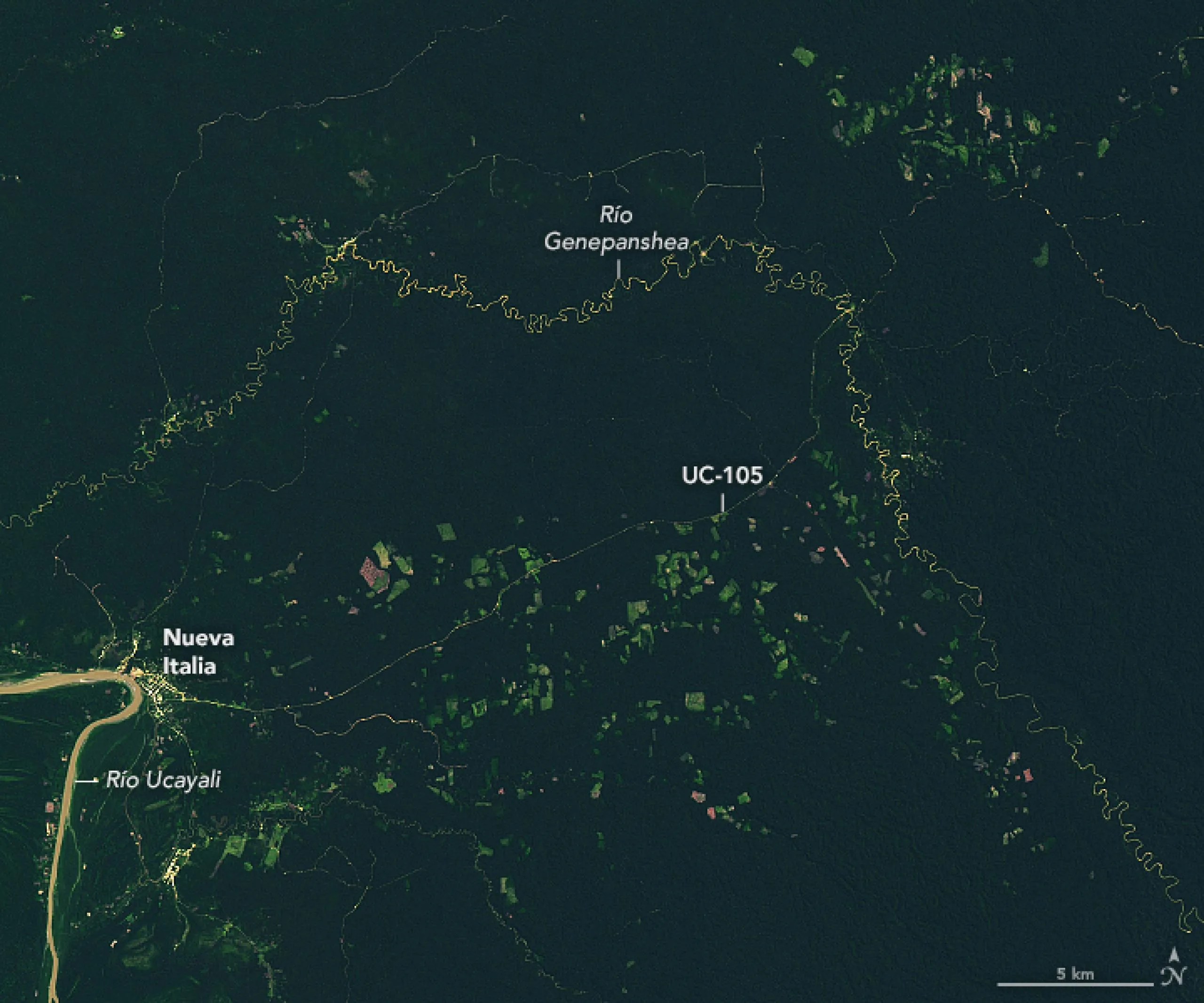 Esta imagen satelital muestra la extensión del cambio entre los ríos Ucayali y Genepanshea en Perú. Fue obtenida por el Generador operacional de imágenes de tierra (OLI, por sus siglas en inglés) a bordo de Landsat 8, y muestra el área en 2022, cuando es notable cómo las áreas deforestadas habían proliferado.