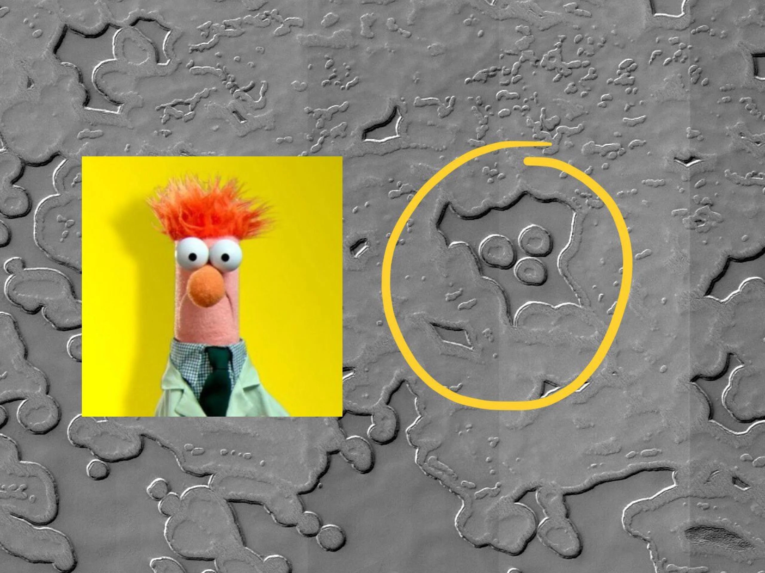 Un tuit del equipo de la cámara HiRISE a bordo del Orbitador de Reconocimiento de Marte de la NASA, la nave espacial que tomó la imagen que fue la fuente del “avistamiento” del Muppet. Créditos: NASA/JPL-Caltech/Universidad de Arizona