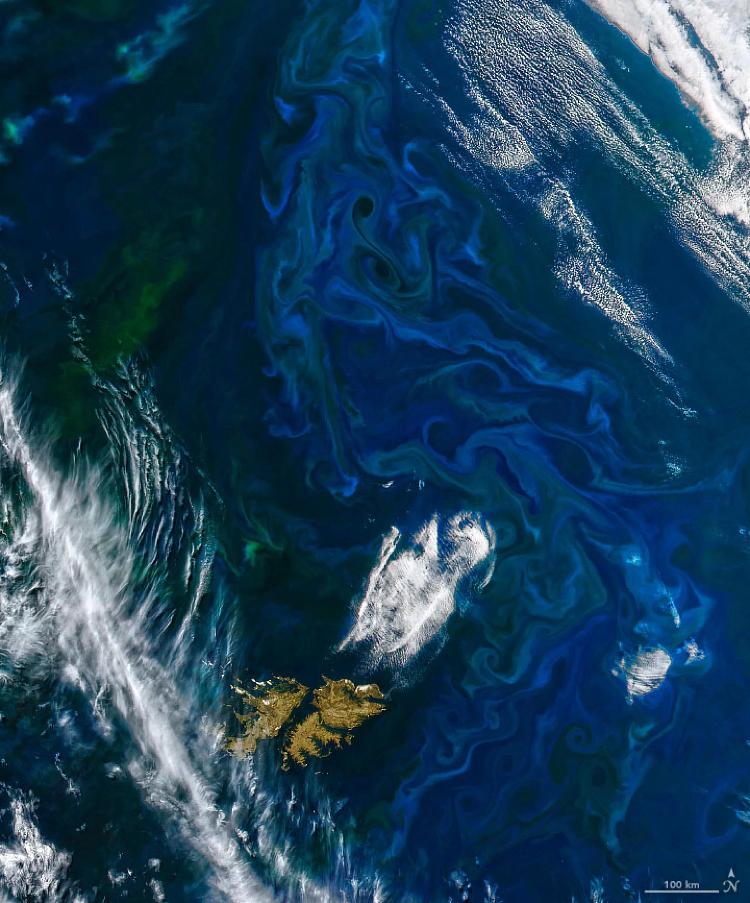 A medida que se acercaba el verano en el hemisferio sur, una proliferación de fitoplancton se hizo visible frente a las costas de Argentina. Esta imagen fue adquirida el 21 de noviembre de 2022 con instrumento MODIS a bordo del satélite Terra de la NASA.