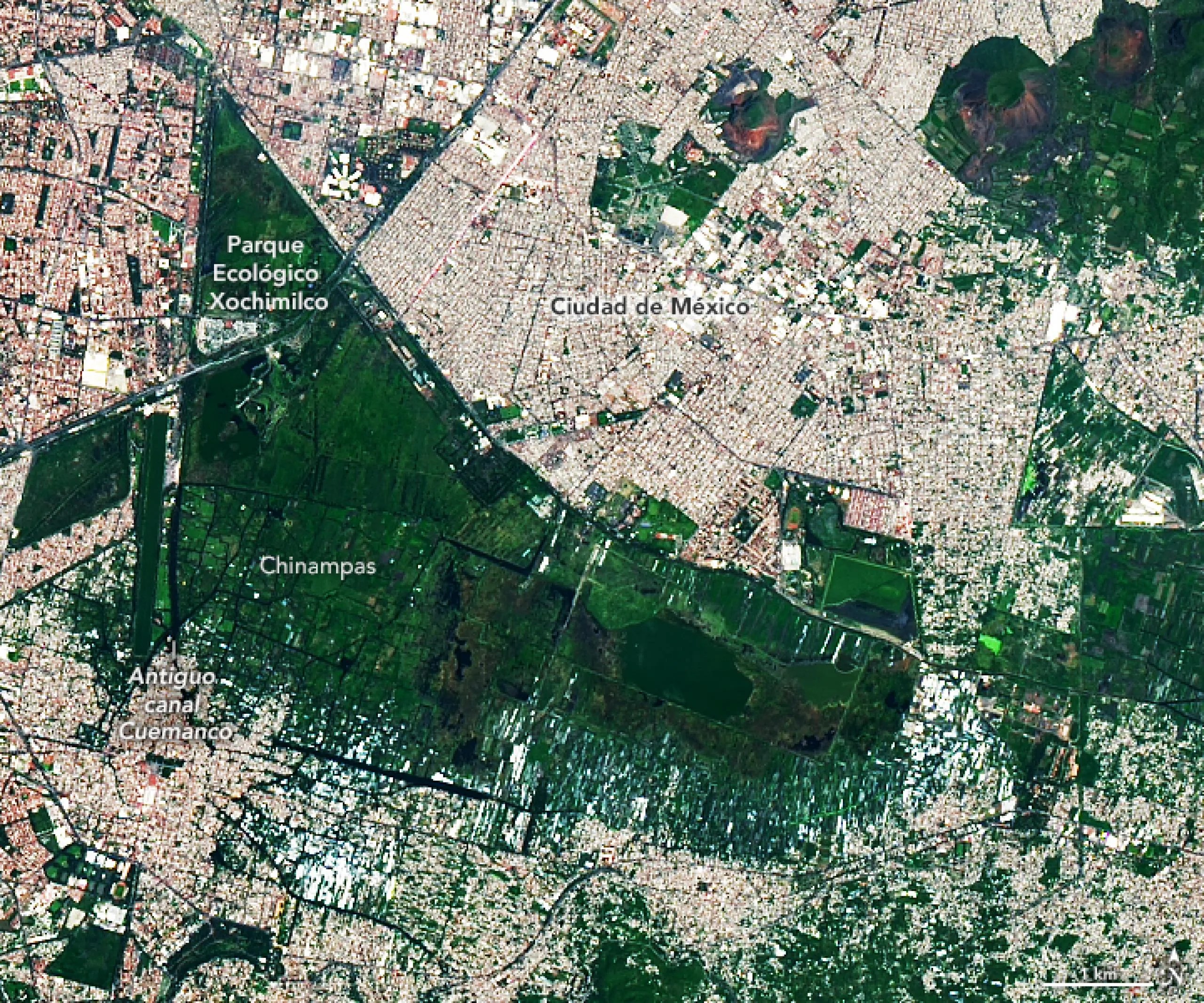 Chinampas milenarias en Ciudad de México vistas por el satélite Landsat 9.
