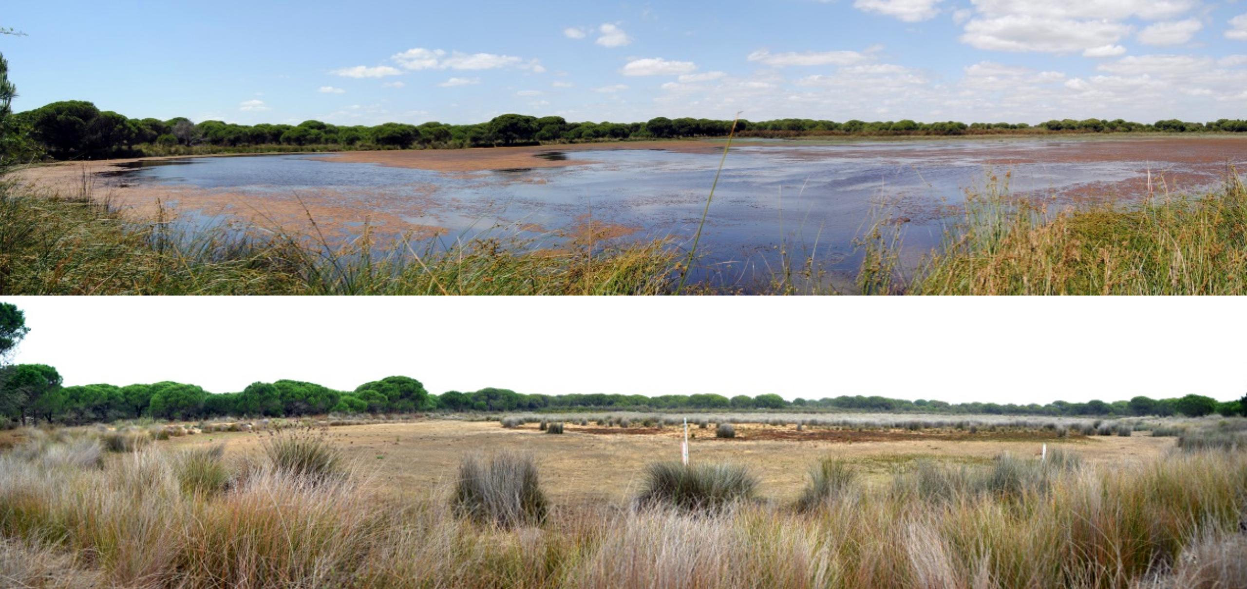 La imagen está dividida en dos fotos horizontales. Ambas muestran la laguna de Zahillo, España, en junio de 2011 (arriba) y en octubre de 2022 (abajo). En la primera se ve más agua, mientras que la segunda aparece completamente seca.