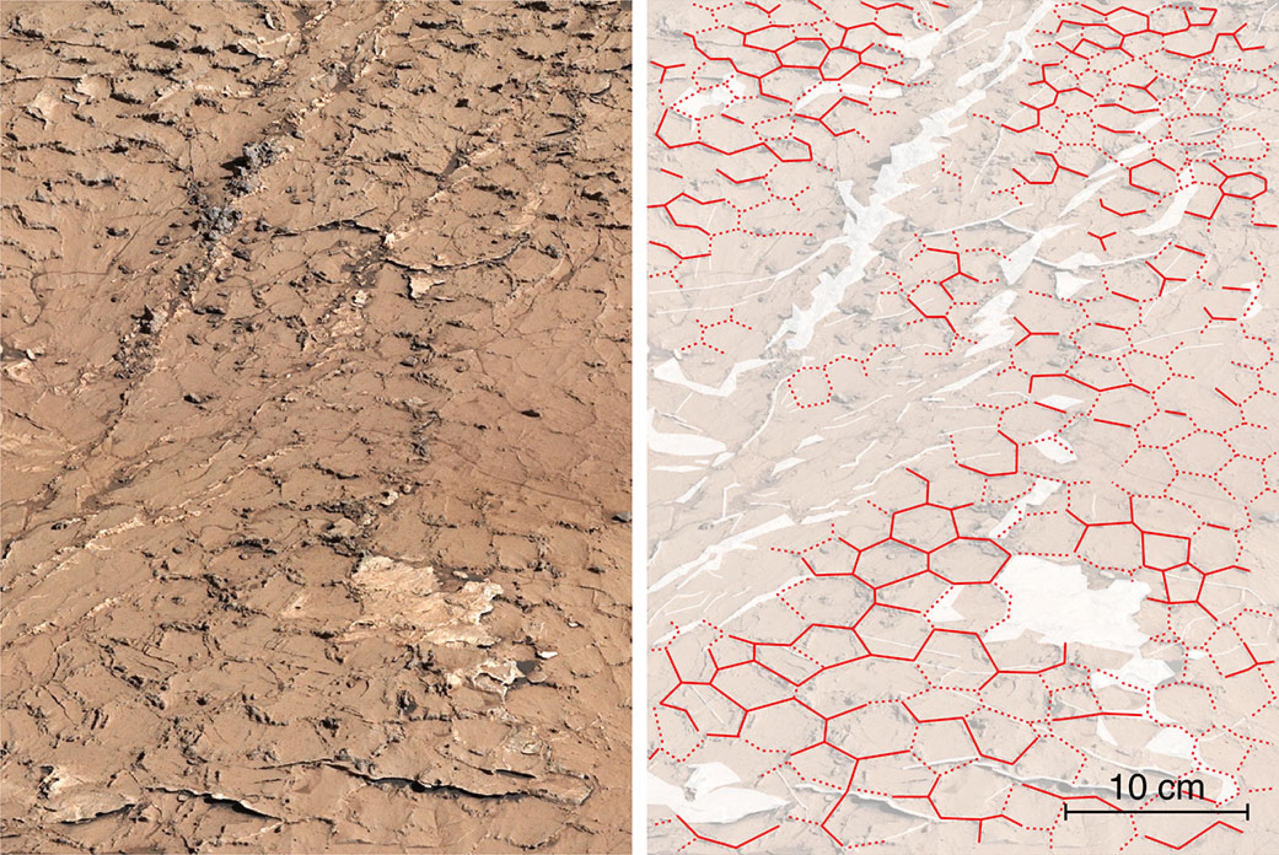 Un primer plano de la imagen panorámica tomada por la Mastcam de Curiosity en “Pontours” revela patrones hexagonales —delineados en rojo en la misma imagen, a la derecha— que sugieren que estas grietas de lodo se formaron después de muchos ciclos de lluvias y sequías que ocurrieron durante años. Crédito: NASA/JPL-Caltech/MSSS/IRAP