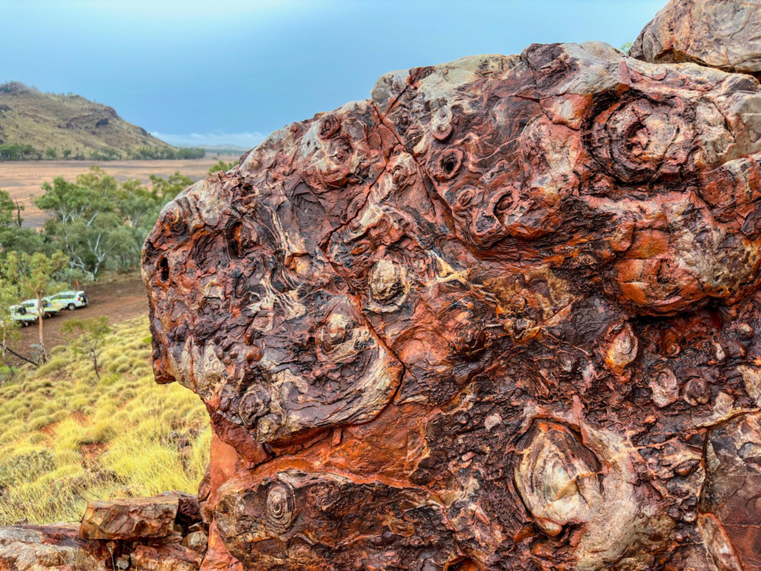 Esta imagen muestra estromatolitos en forma de 'cartón de huevos' de 3.350 millones de años de antigüedad, en la formación de Strelley Pool en la localidad de Trendall, en el oeste de Australia.