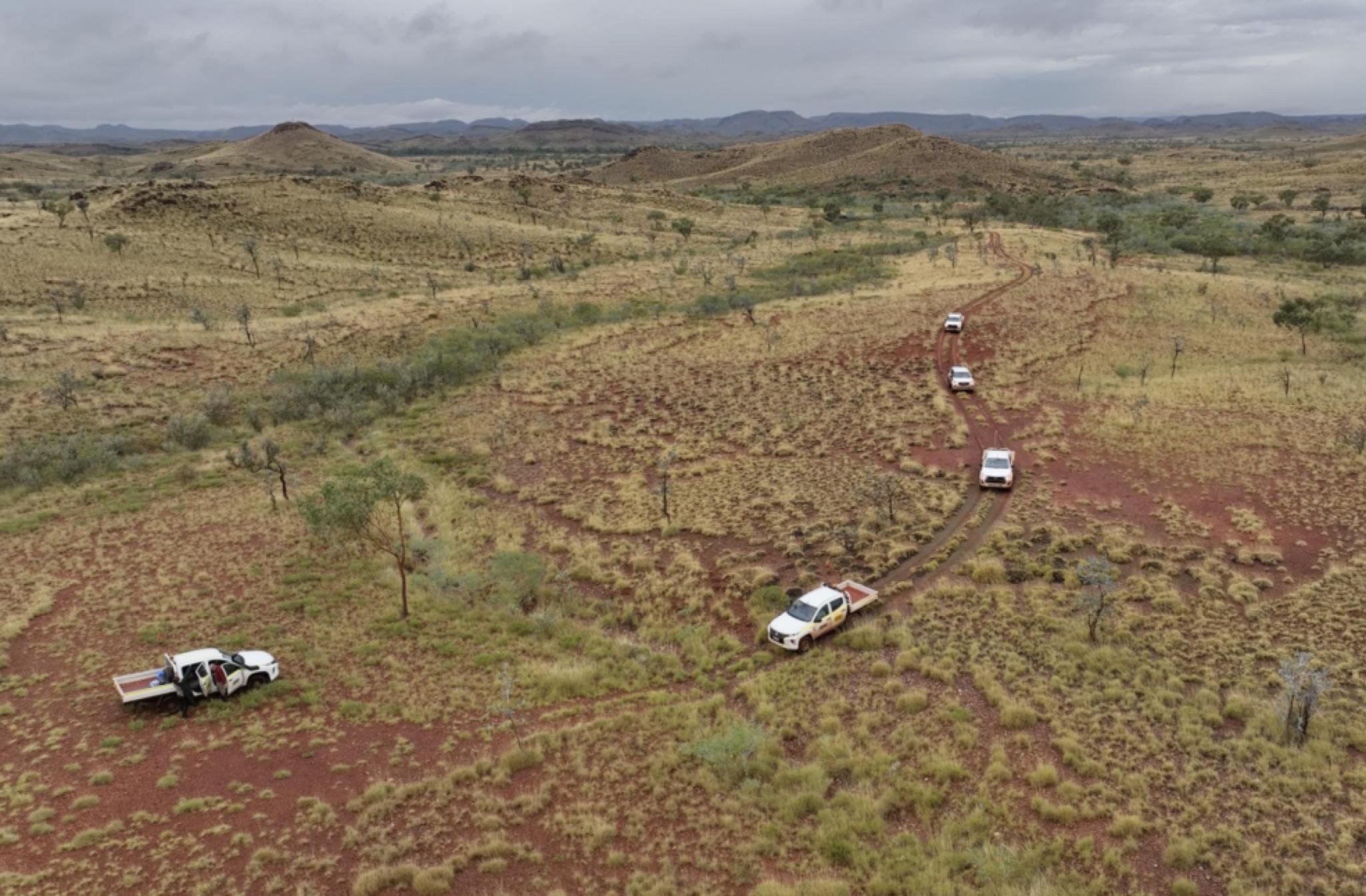Esta foto muestra una vista amplia de la región australiana de Pilbara, cubierta de vegetación verde claro y salpicada de colinas. Cinco vehículos blancos recorren un camino que atraviesan la imagen en diagonal. El cielo está nublado.