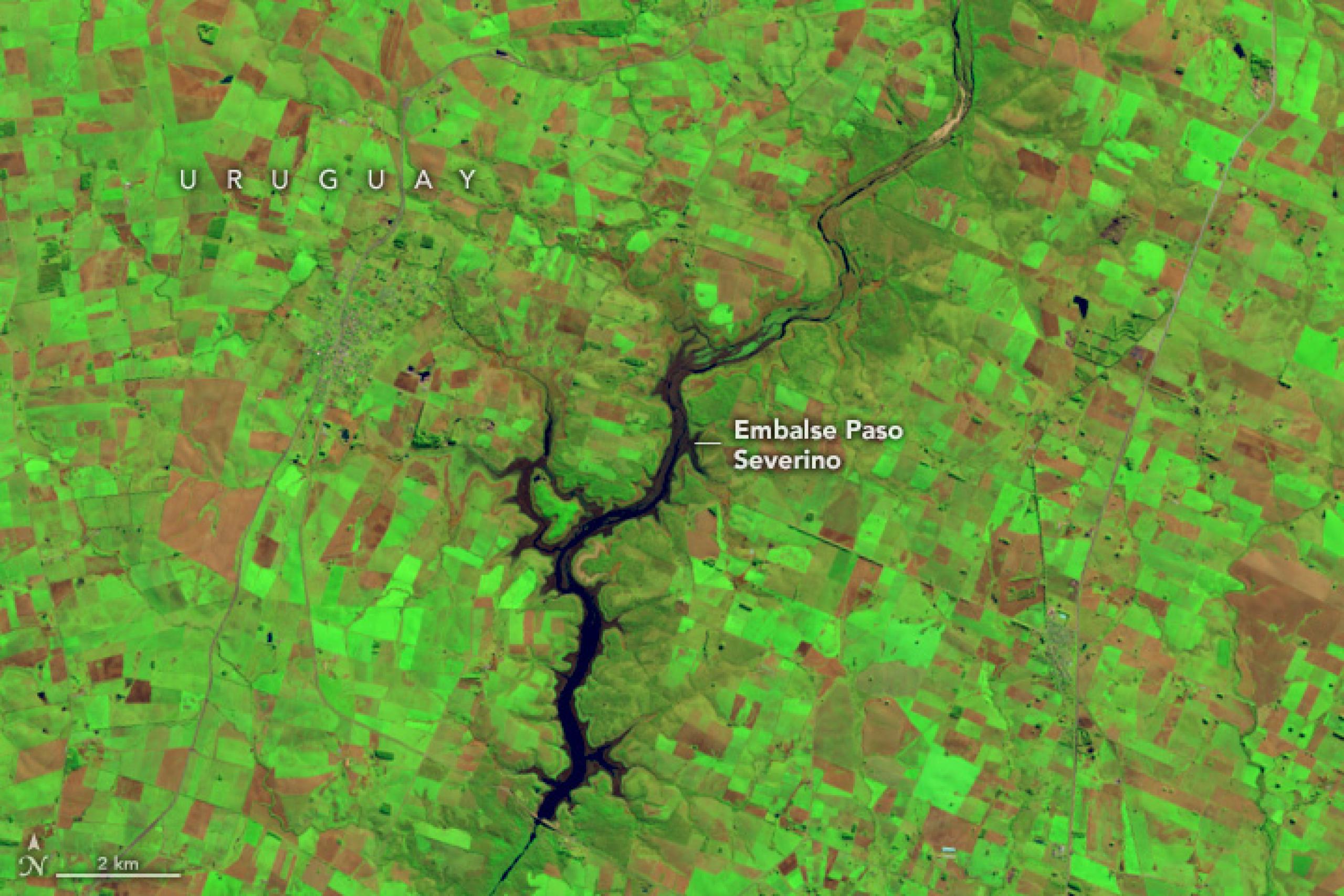 Imagen de satélite en color añadido del embalse Paso Severino en Uruguay durante la sequía de junio de 2023. El embalse, antes grande y próspero, se ha reducido a una franja mucho más delgada de agua azul oscuro. El paisaje circundante se ve verde brillante y marrón rojizo.