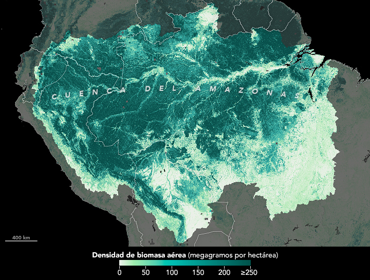 Mapa que muestra la densidad de biomasa aérea en la cuenca del Amazonas de Sudamérica. Los verdes más oscuros muestran las zonas con mayor densidad de biomasa. La mayor parte de la Amazonia es de color verde oscuro, excepto algunas zonas alrededor de la periferia del bosque y una amplia zona en la parte inferior derecha de la cuenca.