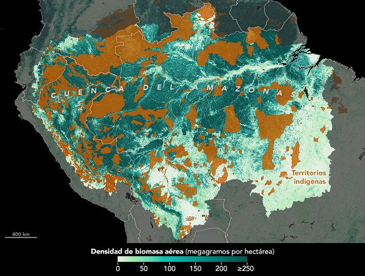 Mapa que muestra la densidad de biomasa aérea en la cuenca del Amazonas de Sudamérica. Los verdes más oscuros muestran las zonas con mayor densidad de biomasa. La mayor parte de la Amazonia es de color verde oscuro, excepto algunas zonas alrededor de la periferia del bosque y una amplia zona en la parte inferior derecha de la cuenca. Las zonas de color marrón claro indican los territorios indígenas, que parecen estar sobre todo en lugares con mayor biomasa.