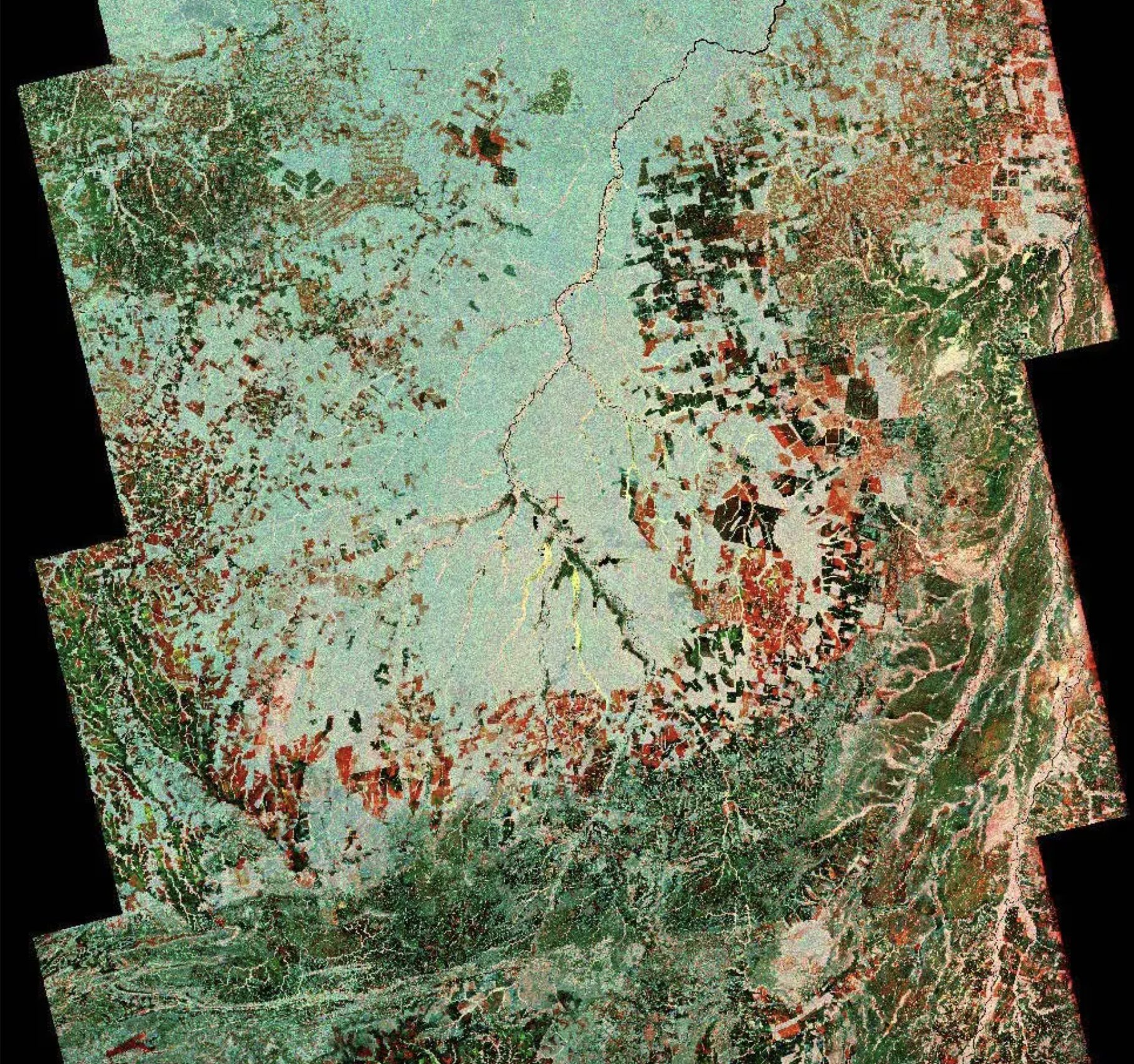 Esta imagen satelital compuesta revela los cambios en la cobertura terrestre en la cuenca del río Xingu de Brasil entre 1996 y 2007. El negro muestra las zonas forestales convertidas en tierras de cultivo antes de 1996, y el rojo muestra las áreas adicionales taladas hasta 2007.