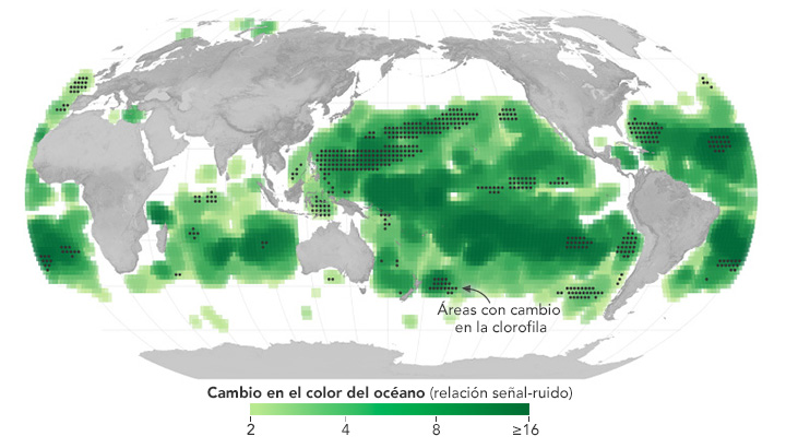 Este mapa destaca las áreas donde el color de la superficie del océano cambió entre 2002 y 2022, y los tonos más oscuros de verde representan diferencias más significativas (mayor relación señal-ruido).