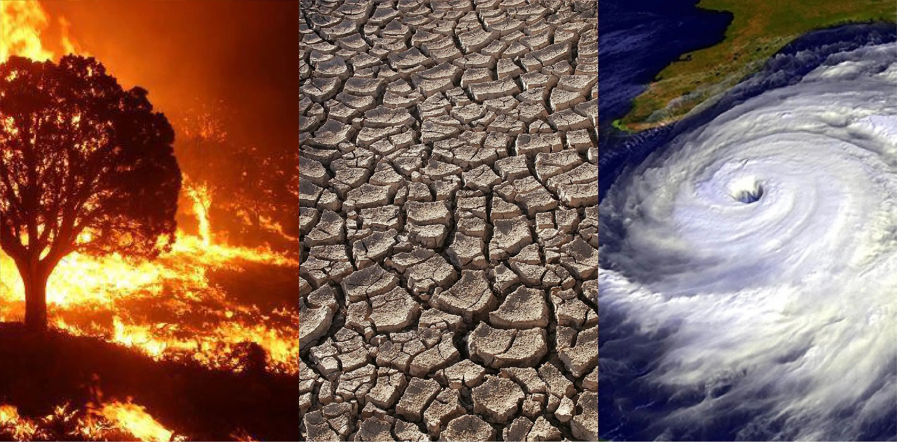 Los posibles efectos futuros del cambio climático global incluyen incendios forestales más frecuentes, períodos más prolongados de sequía en algunas regiones y un aumento en la duración e intensidad de las tormentas tropicales.