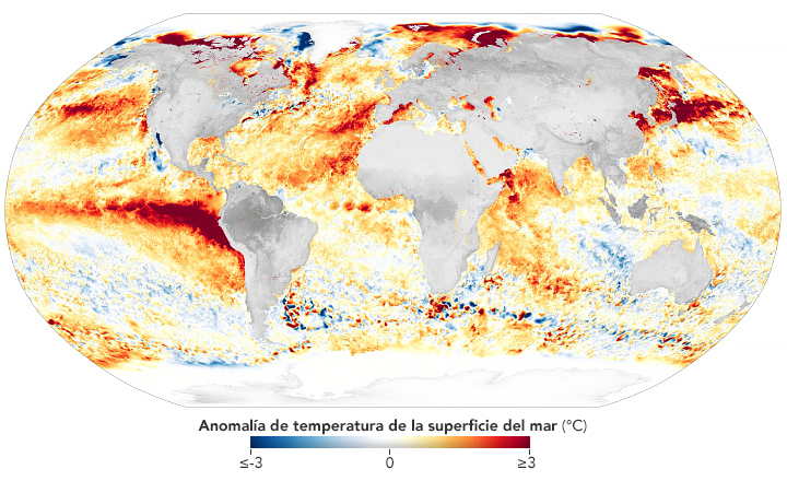 Mapa global que muestra la anomalía en la temperatura de la superficie del mar (°C).