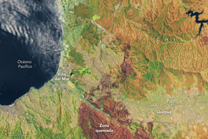 Imagen satelital que muestra áreas de Chile afectadas por incendios en febrero de 2024. Las tierras con bosques, matorrales o pastizales sin quemar se ven verdes. Las áreas con desarrollo urbano se ven de color rosa o gris; las áreas urbanizadas que se quemaron son más oscuras que las partes no afectadas de las ciudades. La imagen de la izquierda, captada por el Generador operacional de imágenes de tierra (OLI) a bordo del satélite Landsat 8, muestra la misma área antes de que ocurrieran los incendios.