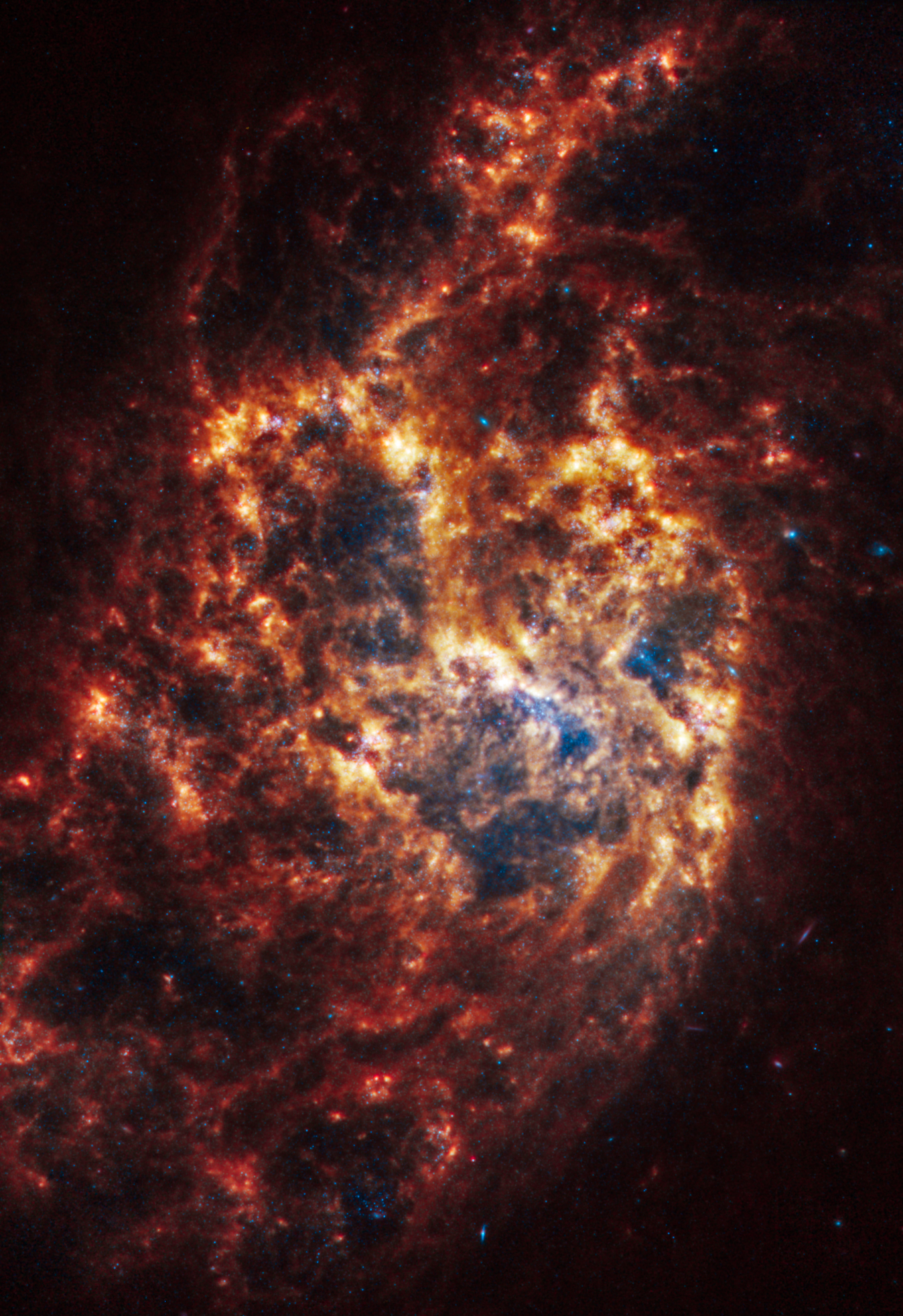 La galaxia espiral NGC 1385, ubicada a 30 millones de años luz en la constelación de Fornax (El Horno), revela su majestuosidad con sus brazos espirales bien definidos y una estructura central prominente.