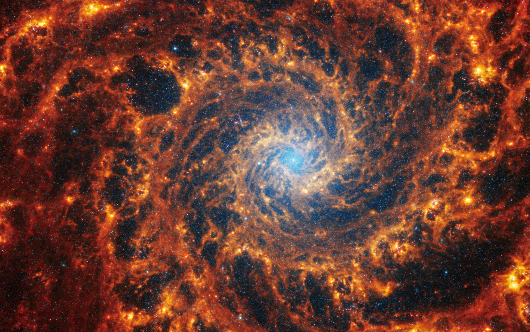 Esta imagen captada por el telescopio espacial James Webb ofrece una impresionante vista frontal de la galaxia espiral NGC 628, situada a 32 millones de años luz en la constelación de Piscis. El núcleo central se destaca con una luminosa neblina de color azul claro, abarcando una cuarta parte de la imagen, donde se concentra el brillo más intenso. 