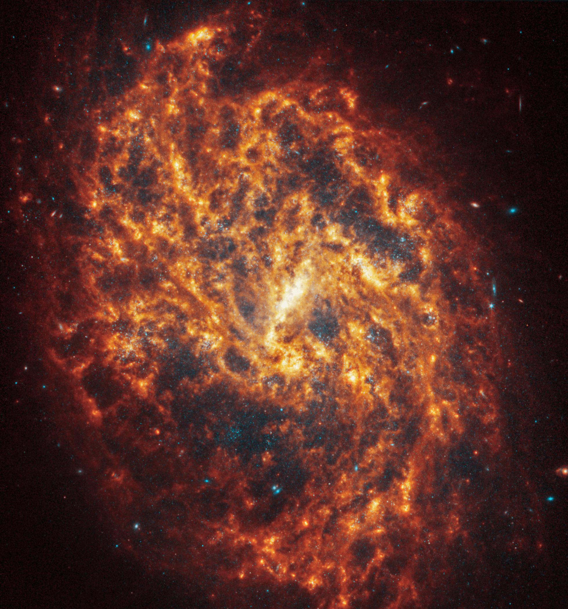 Imagen de la galaxia espiral NGC 1087, ubicada a 80 millones de años luz en la constelación de Cetus (La Ballena), capturando su impresionante estructura y la belleza de sus brazos espirales extendiéndose en el espacio.

