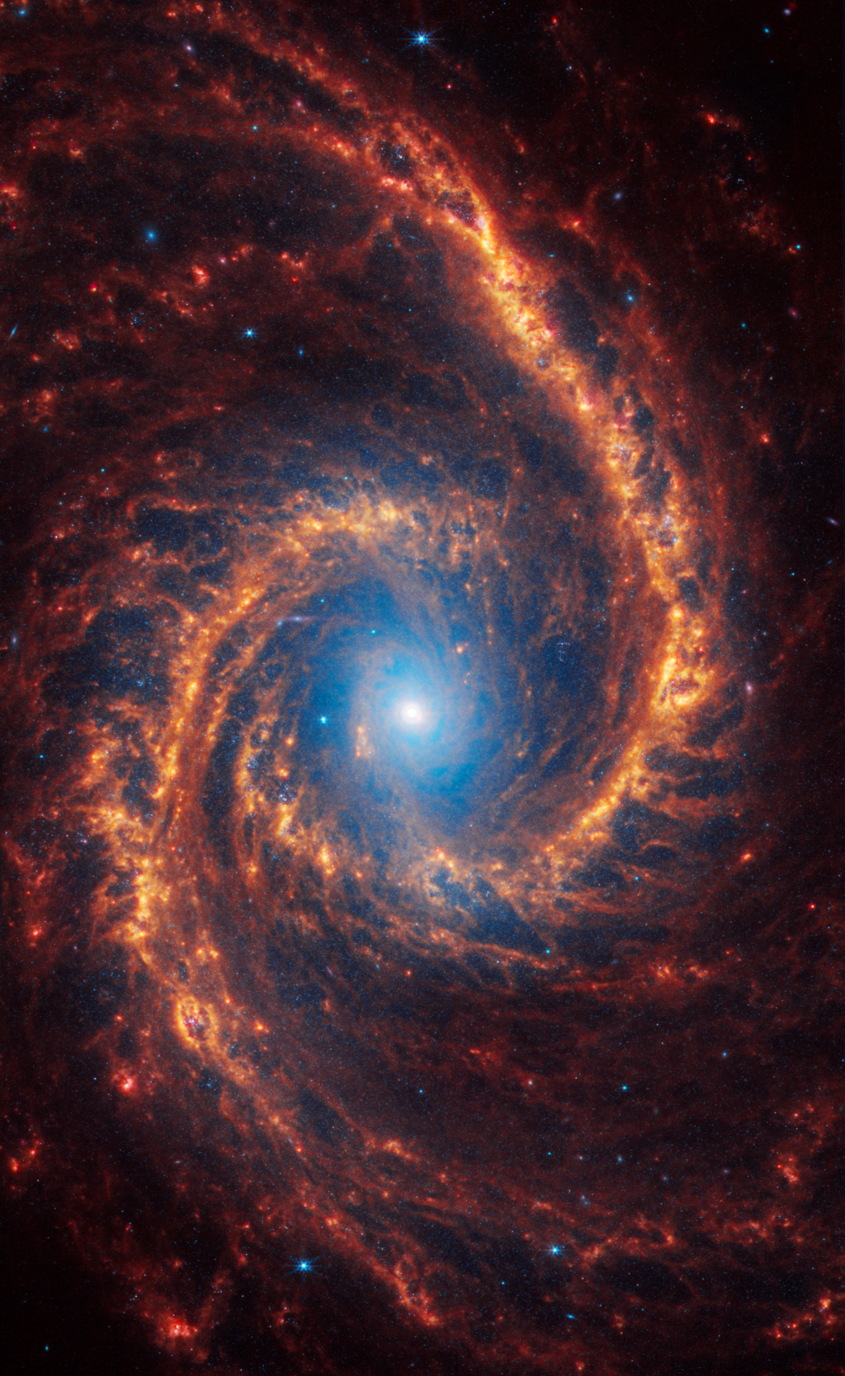 La galaxia espiral NGC 1566, situada a 60 millones de años luz en la constelación de Dorado, se muestra en todo su esplendor, ilustrando los detalles complejos y la simetría de sus brazos espirales.